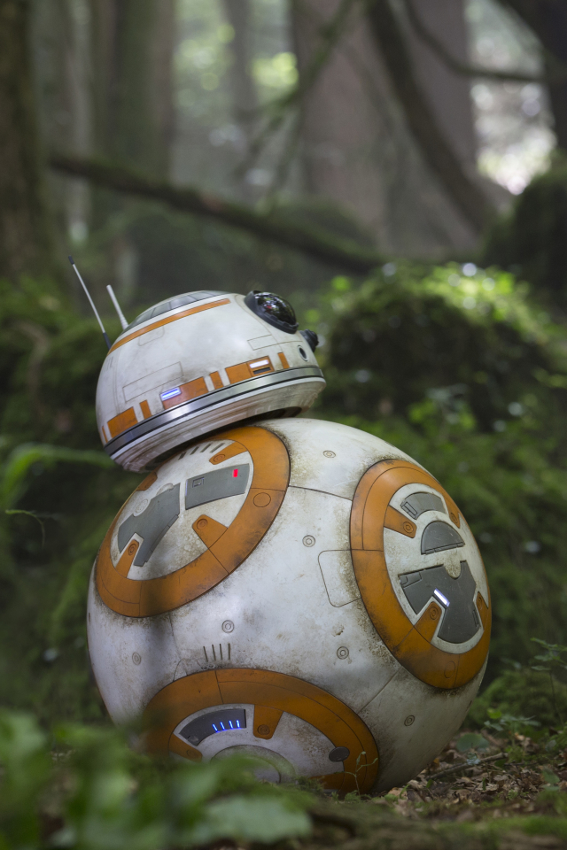 Download mobile wallpaper Star Wars, Movie, Star Wars Episode Vii: The Force Awakens, Daisy Ridley, Rey (Star Wars), Bb 8 for free.