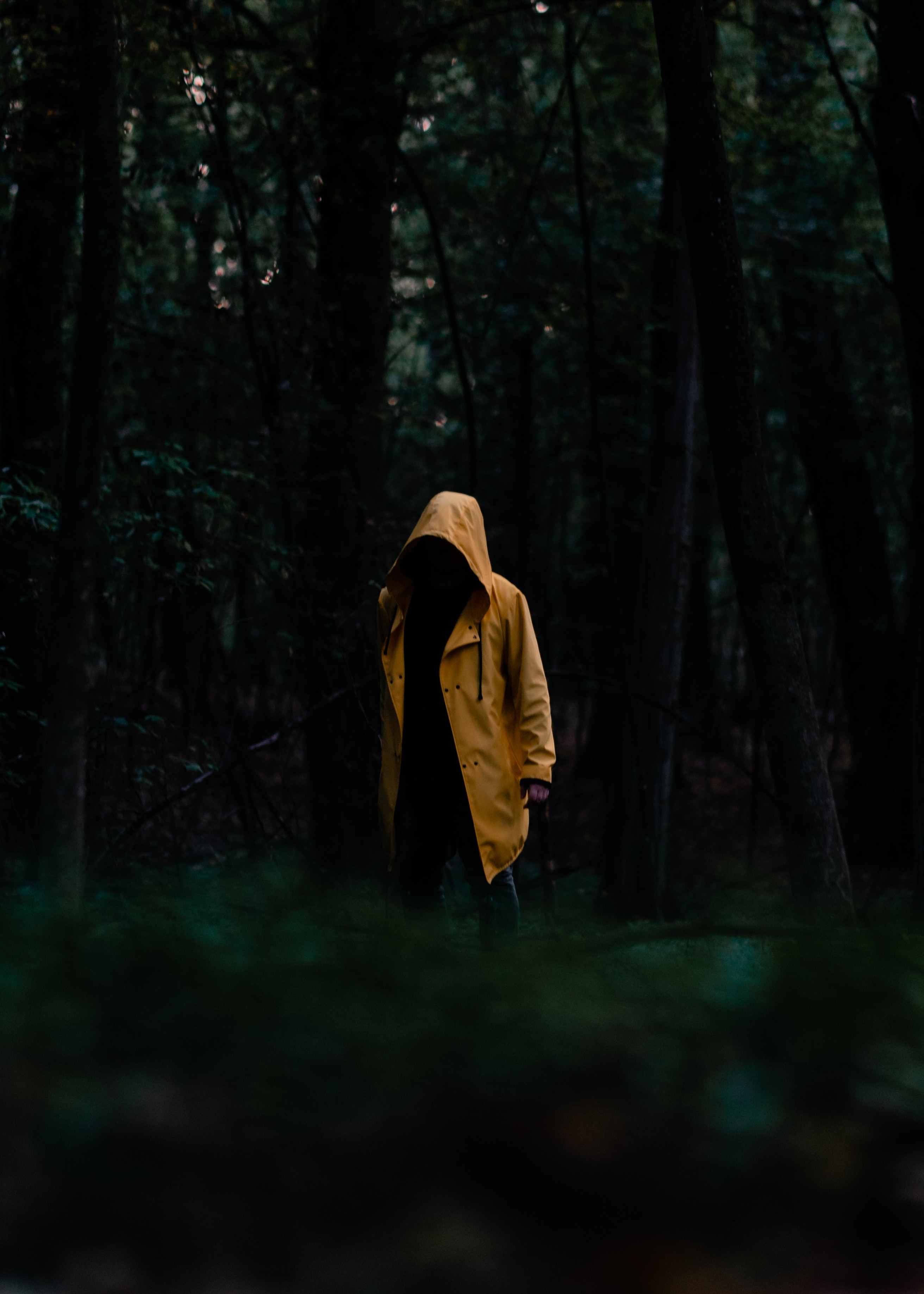 Free download wallpaper Miscellanea, Forest, Person, Cloak, Trees, Miscellaneous, Human on your PC desktop