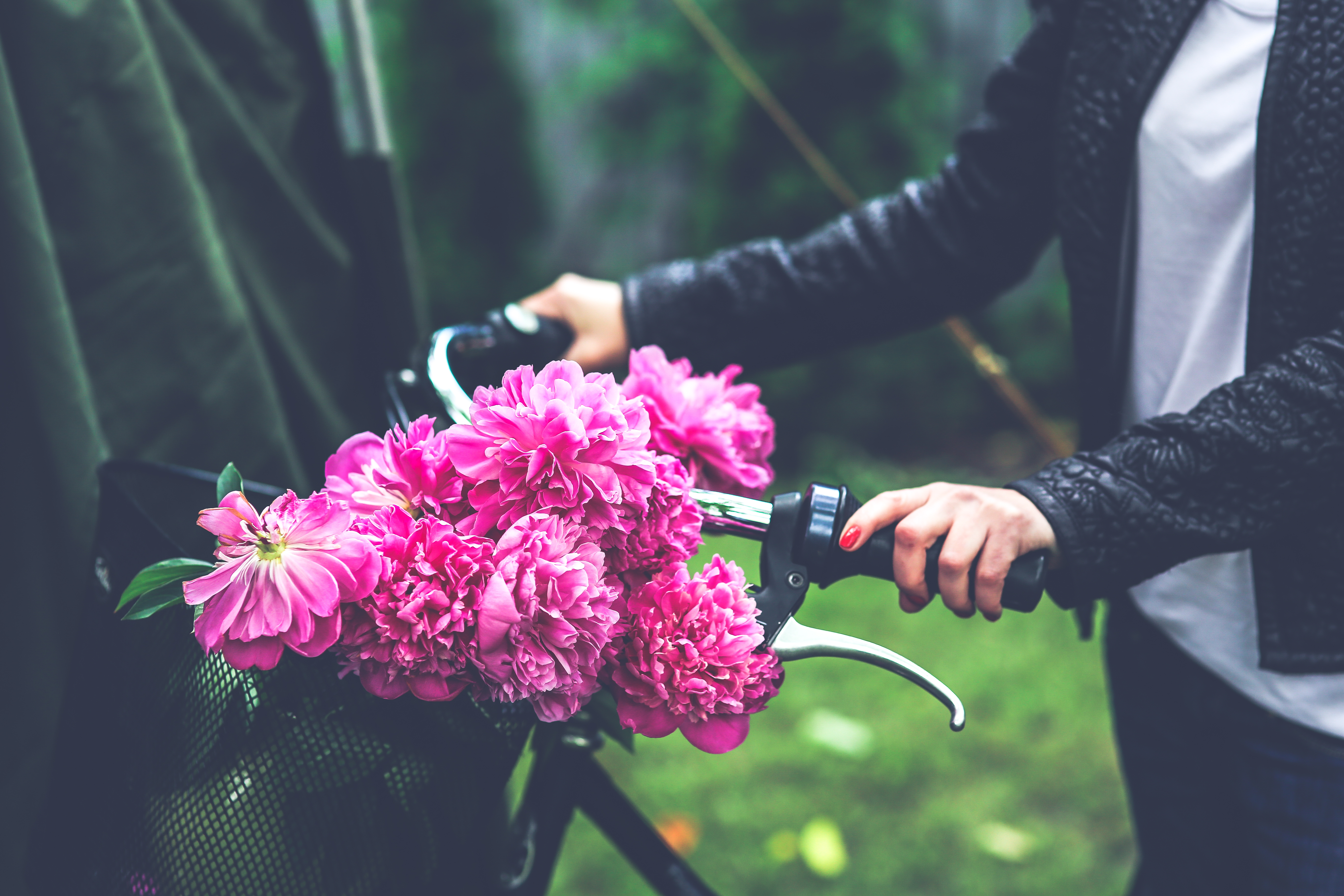 flowers, peonies, hand, bicycle
