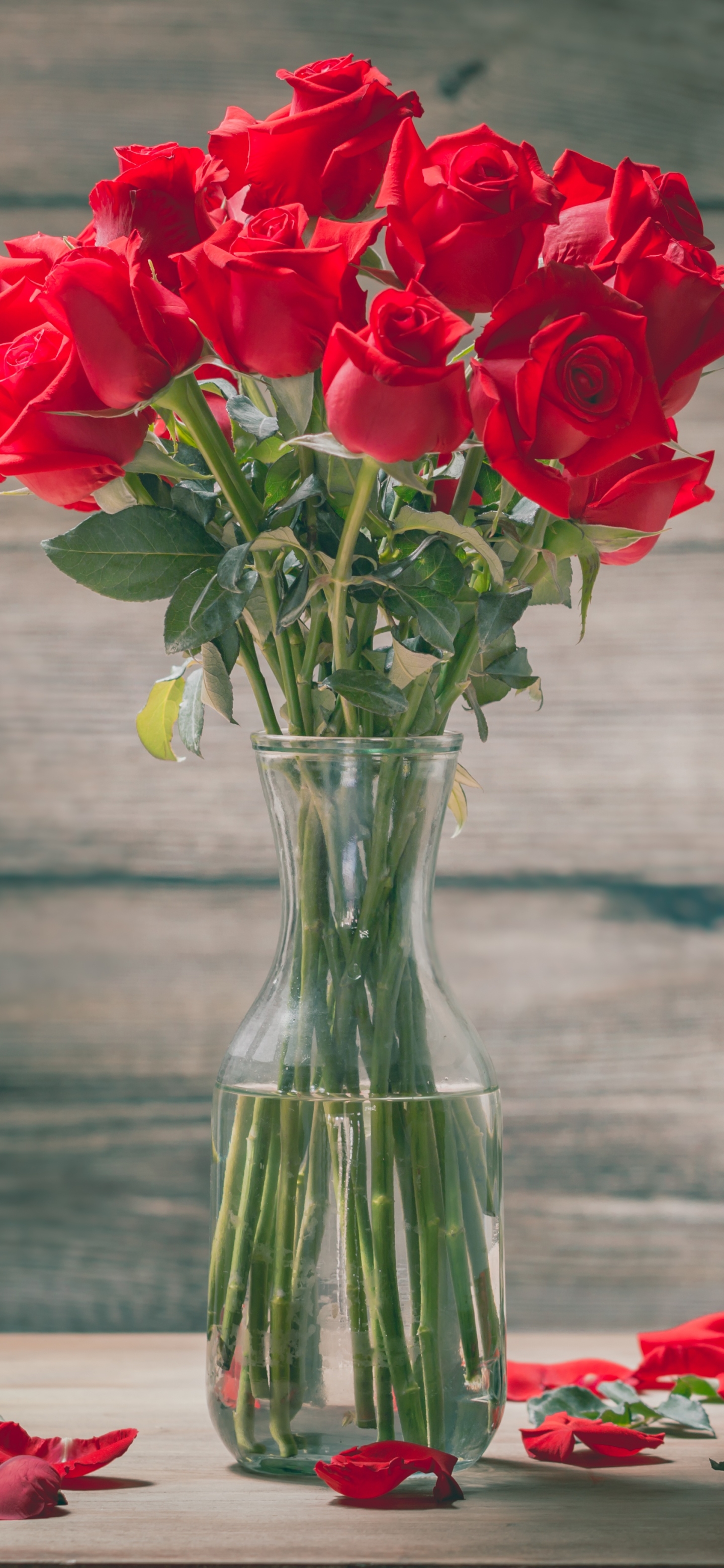 Download mobile wallpaper Flower, Rose, Bouquet, Red Flower, Man Made for free.