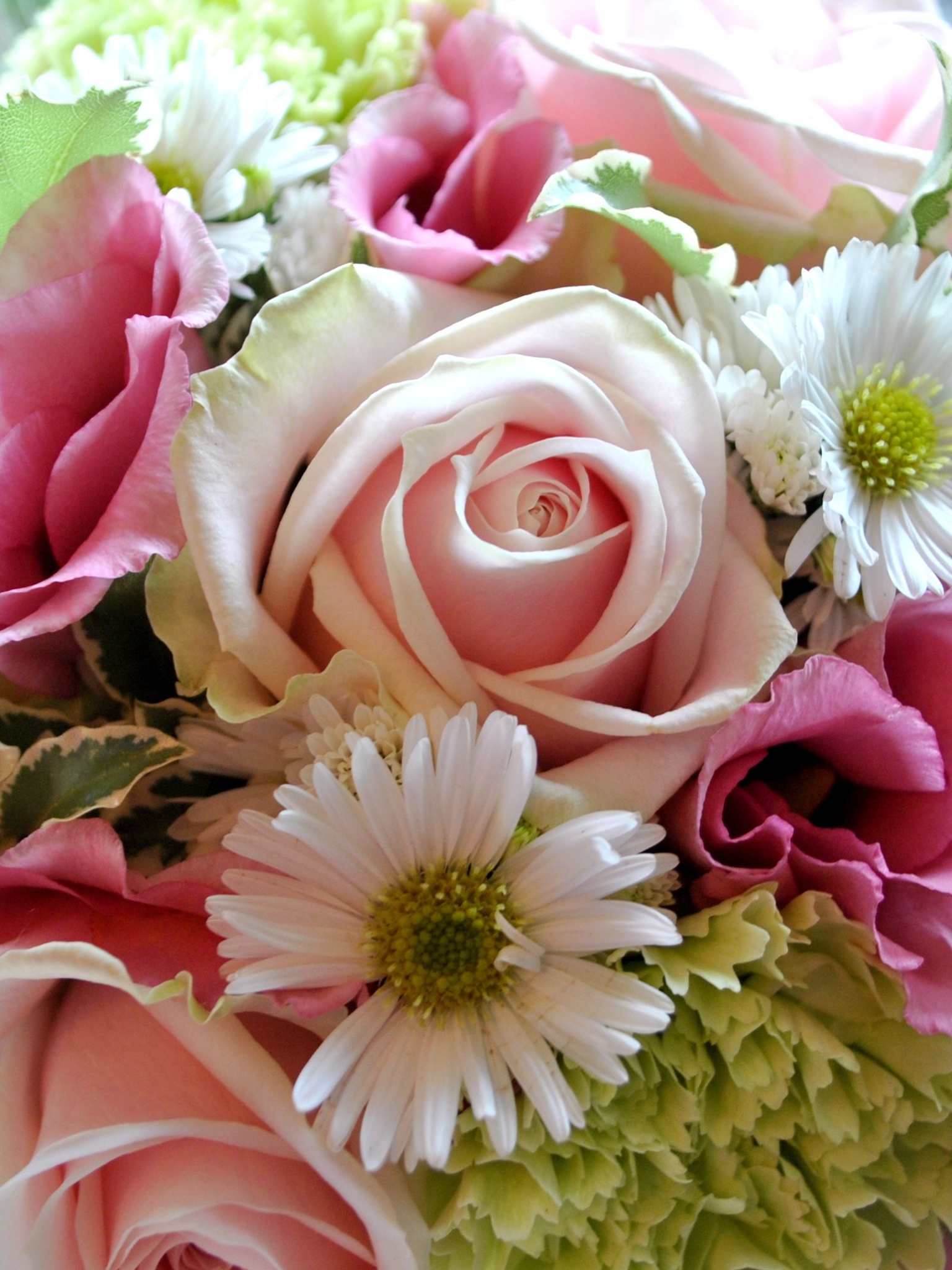 Handy-Wallpaper Blume, Rose, Strauß, Gänseblümchen, Menschengemacht kostenlos herunterladen.