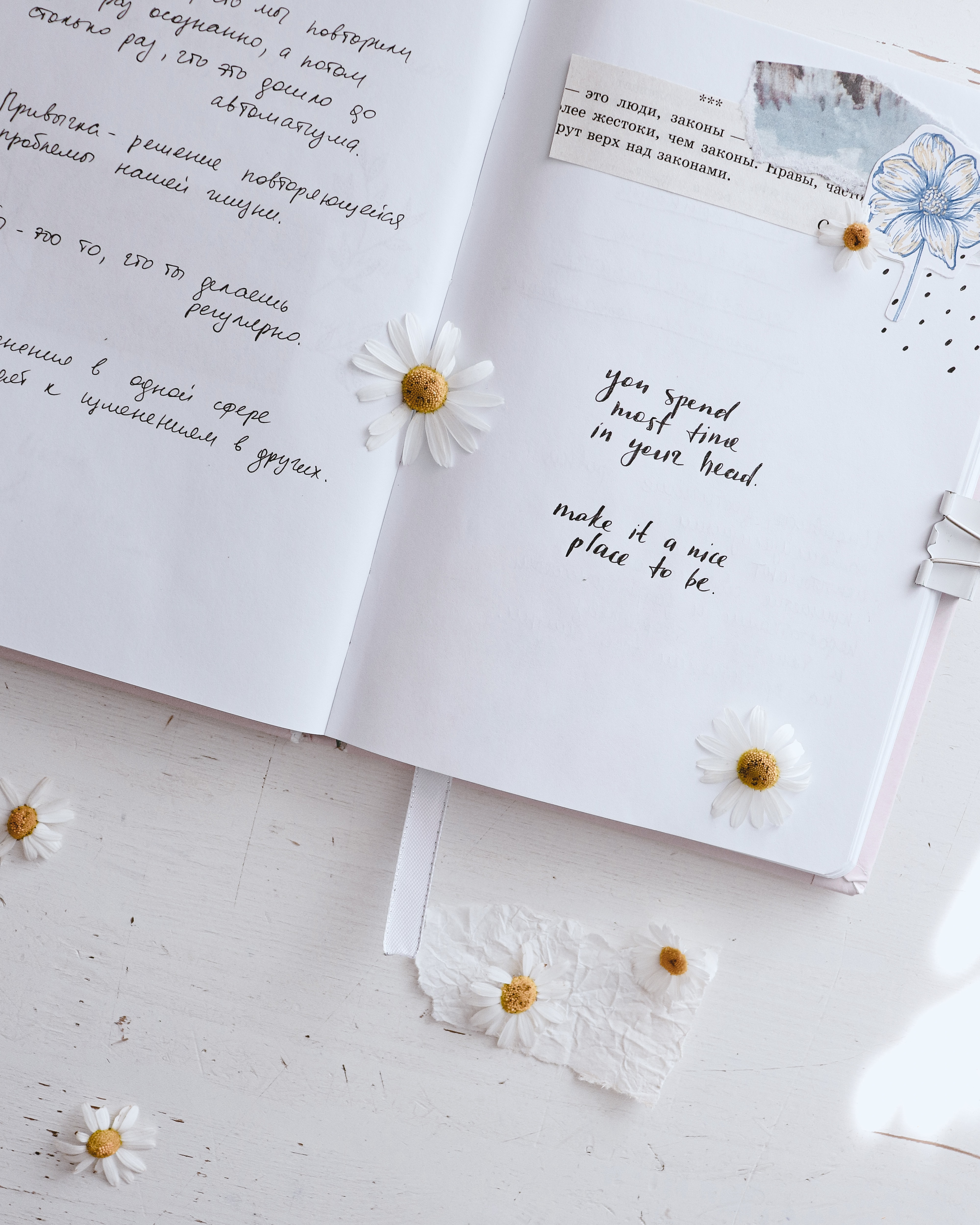 notebook, quotes, lettering, flowers, words, notepad, inscriptions, phrases