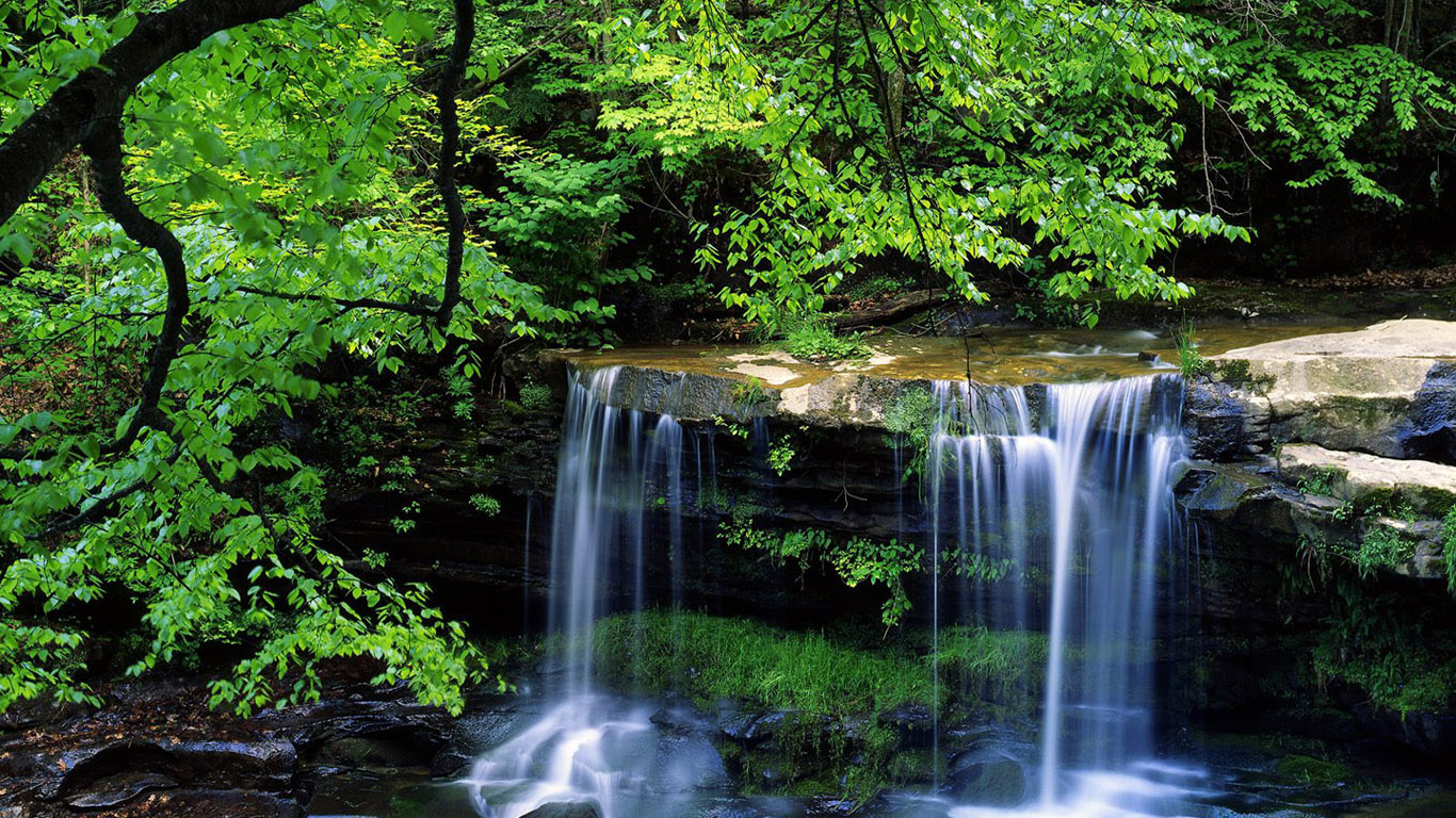 Free download wallpaper Nature, Water, Waterfalls, Waterfall, Tree, Earth on your PC desktop