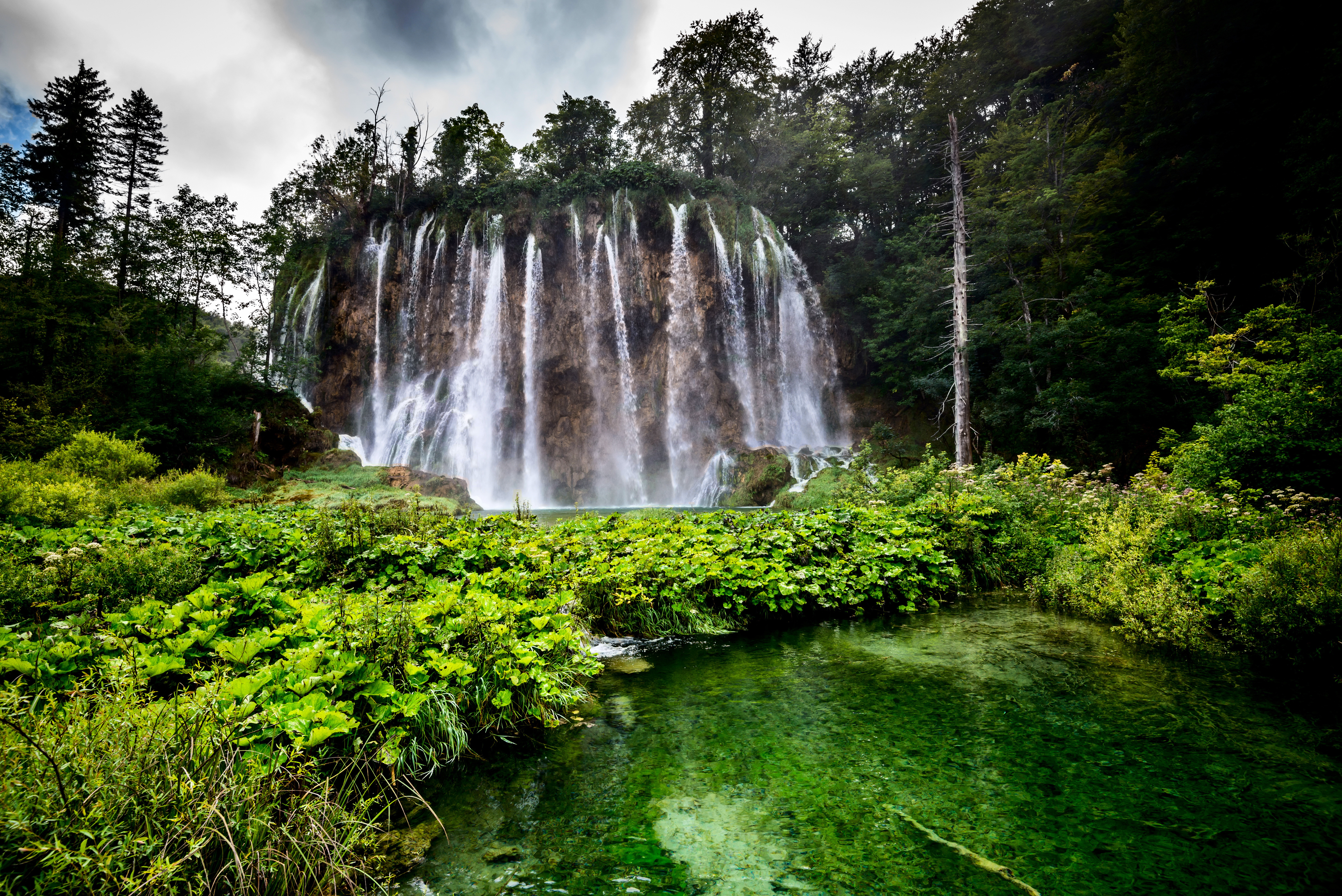 Laden Sie das Wasserfälle, Wasserfall, Wald, Baum, Teich, Erde/natur-Bild kostenlos auf Ihren PC-Desktop herunter