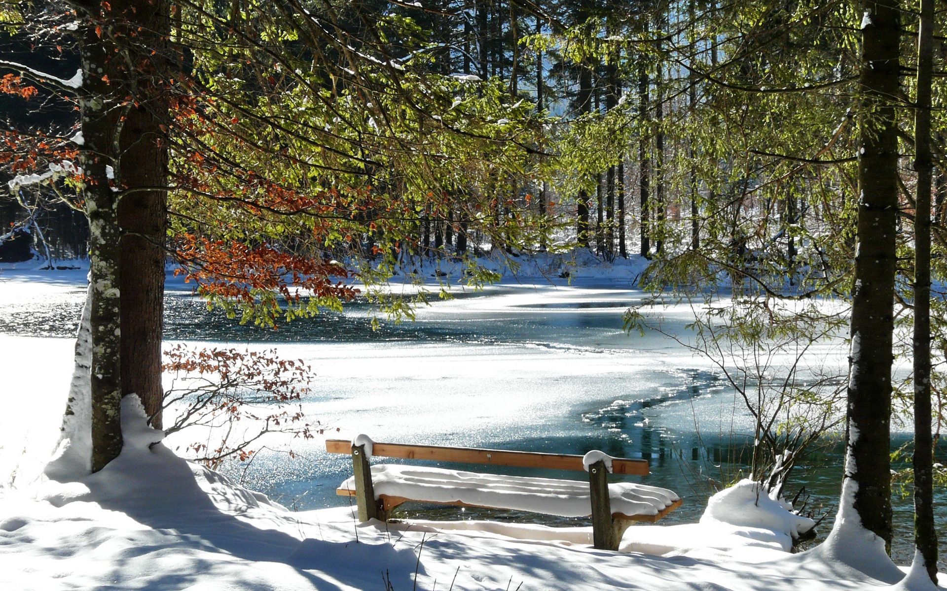 melting, spring, nature, trees, ice, snow, lake, shore, bank, bench