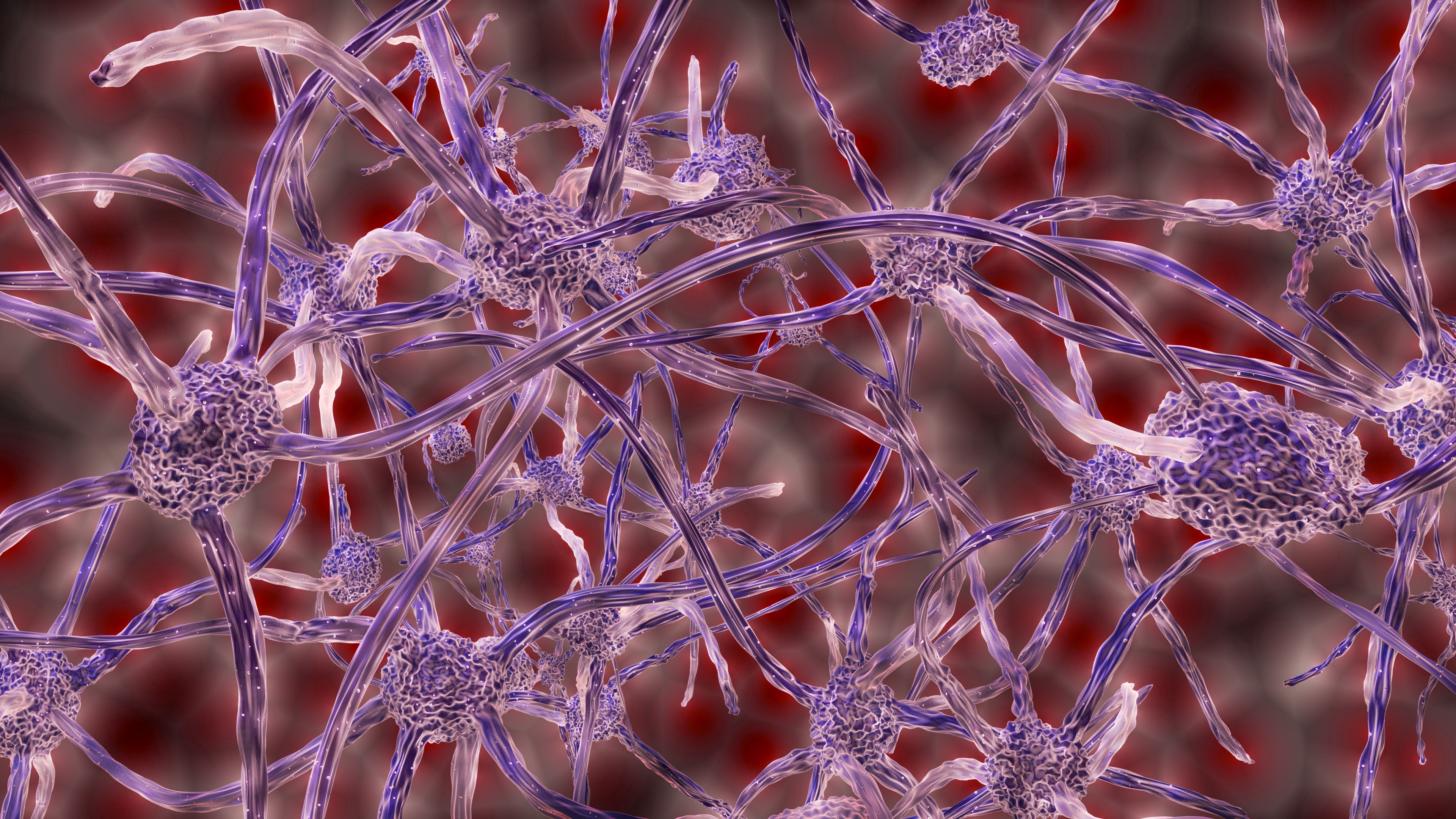 Download mobile wallpaper Nerve Cells, Plexus, 3D for free.