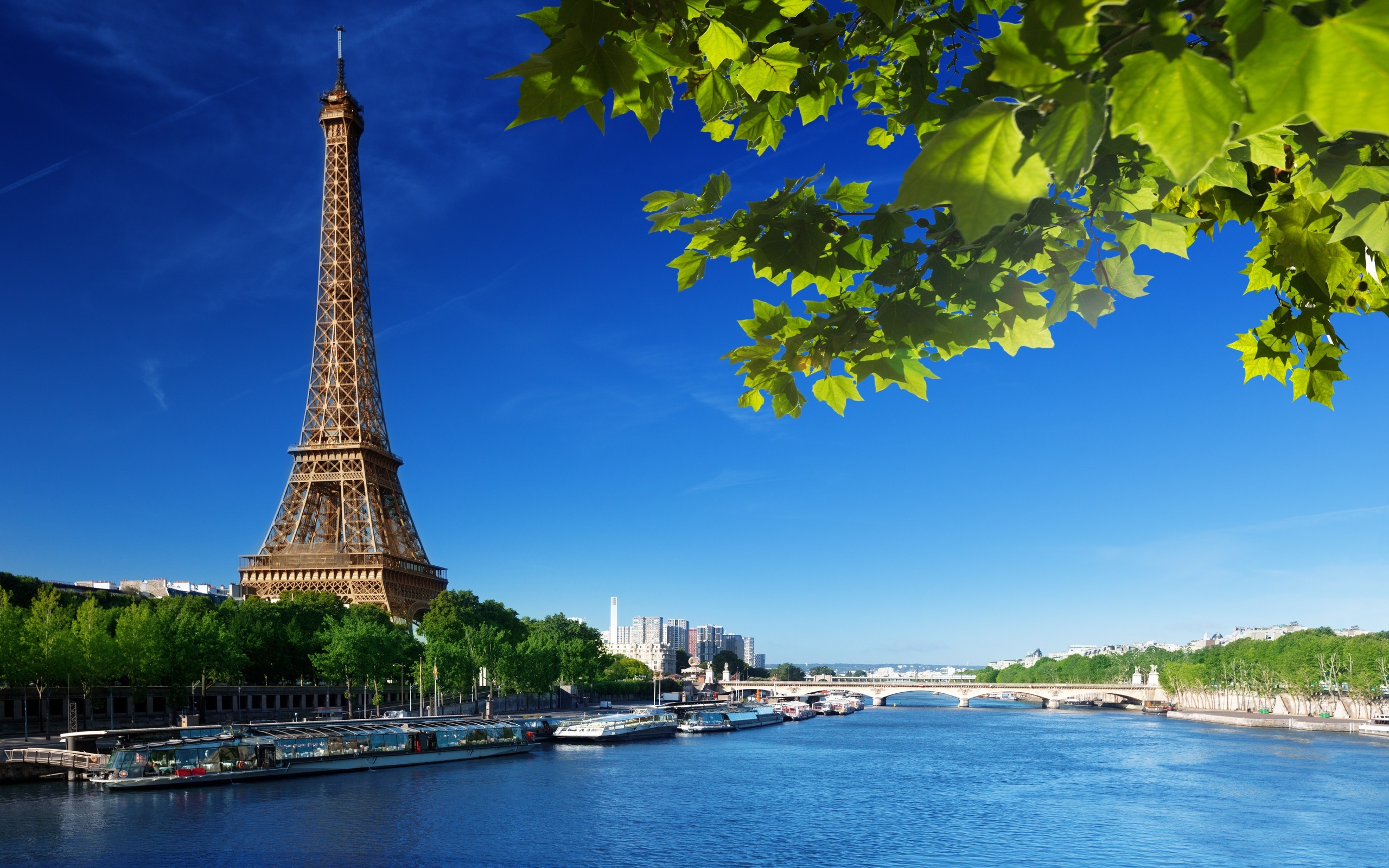 Скачати мобільні шпалери Пам'ятники, Створено Людиною, Ейфелева Вежа, Париж безкоштовно.