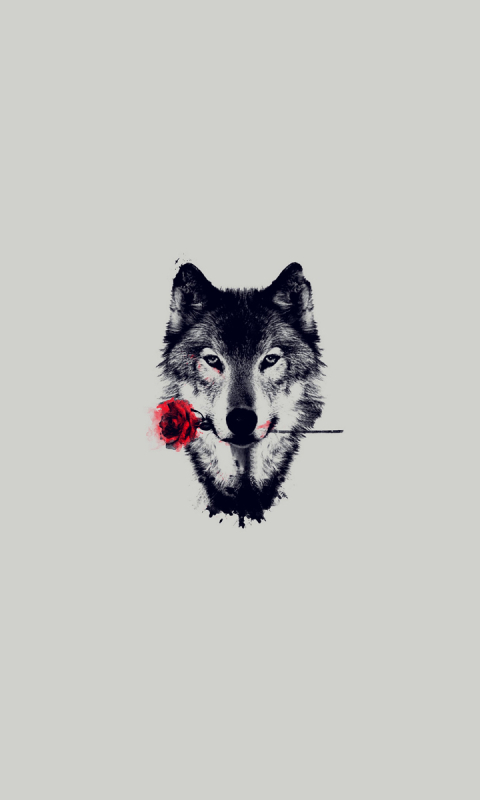 Download mobile wallpaper Rose, Wolf, Animal, Wolves for free.