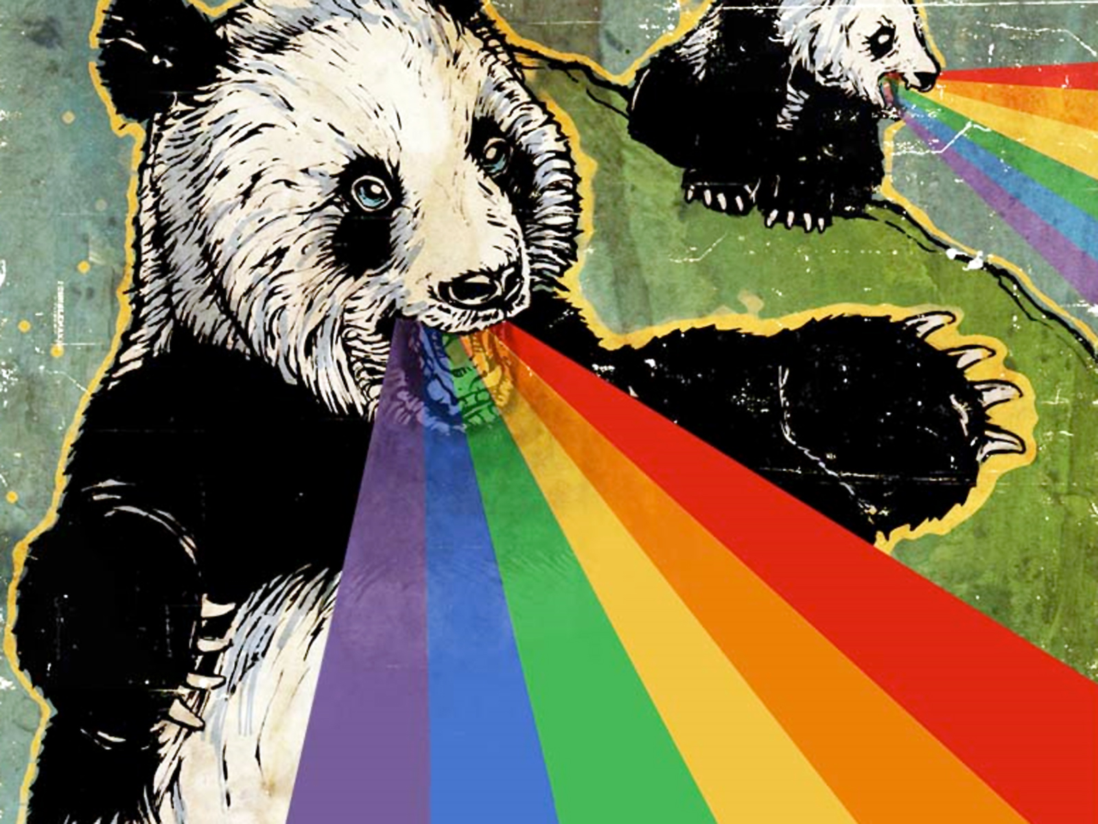 158602 скачать обои медведь, юмор, смешной, радуга, панда - заставки и картинки бесплатно