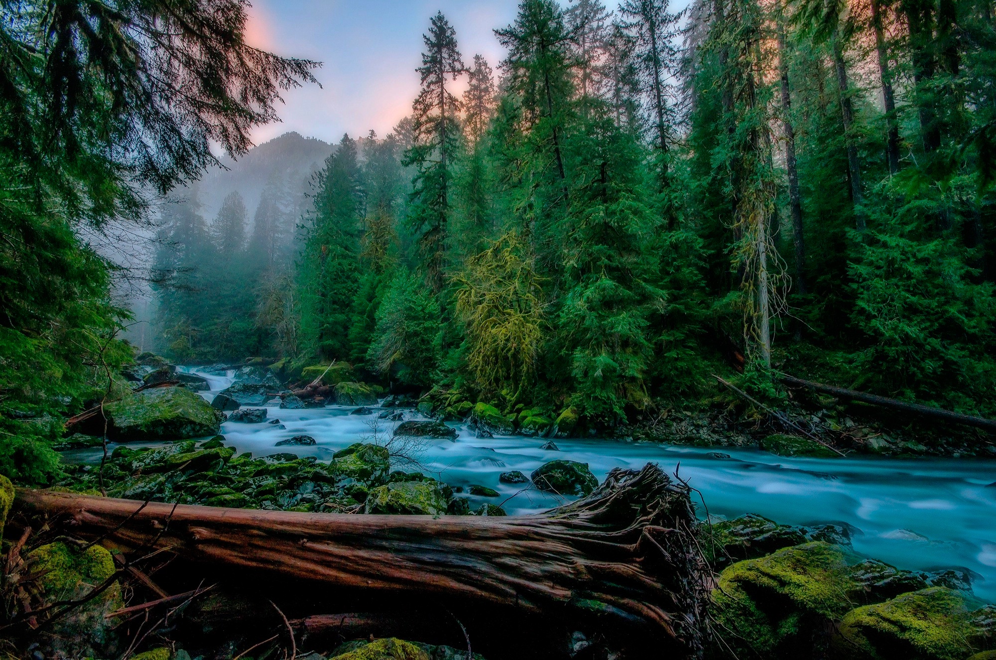 Descarga gratuita de fondo de pantalla para móvil de Naturaleza, Rio, Bosque, Tierra/naturaleza.