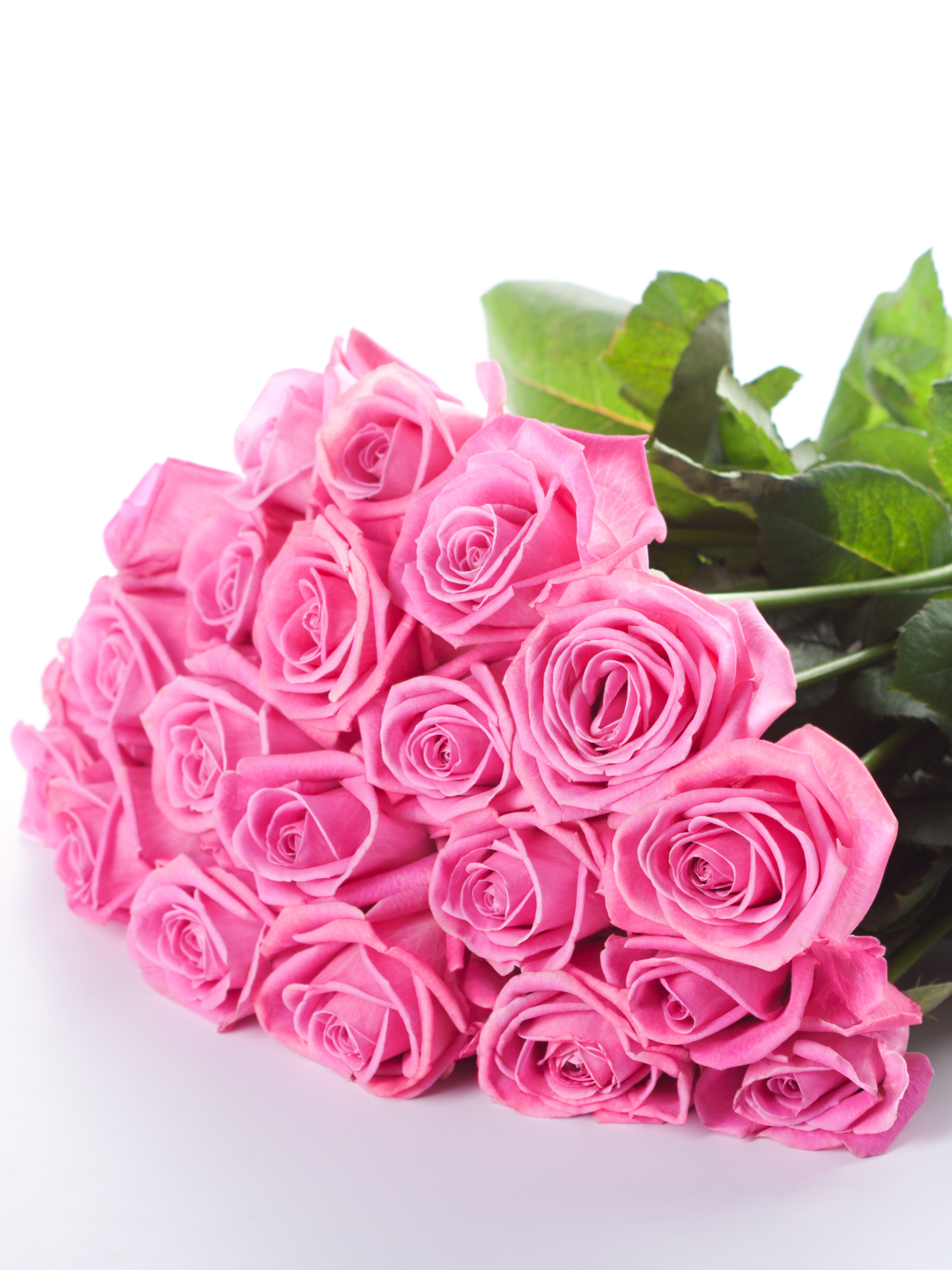 Free download wallpaper Flowers, Rose, Bouquet, Earth, Pink Rose on your PC desktop