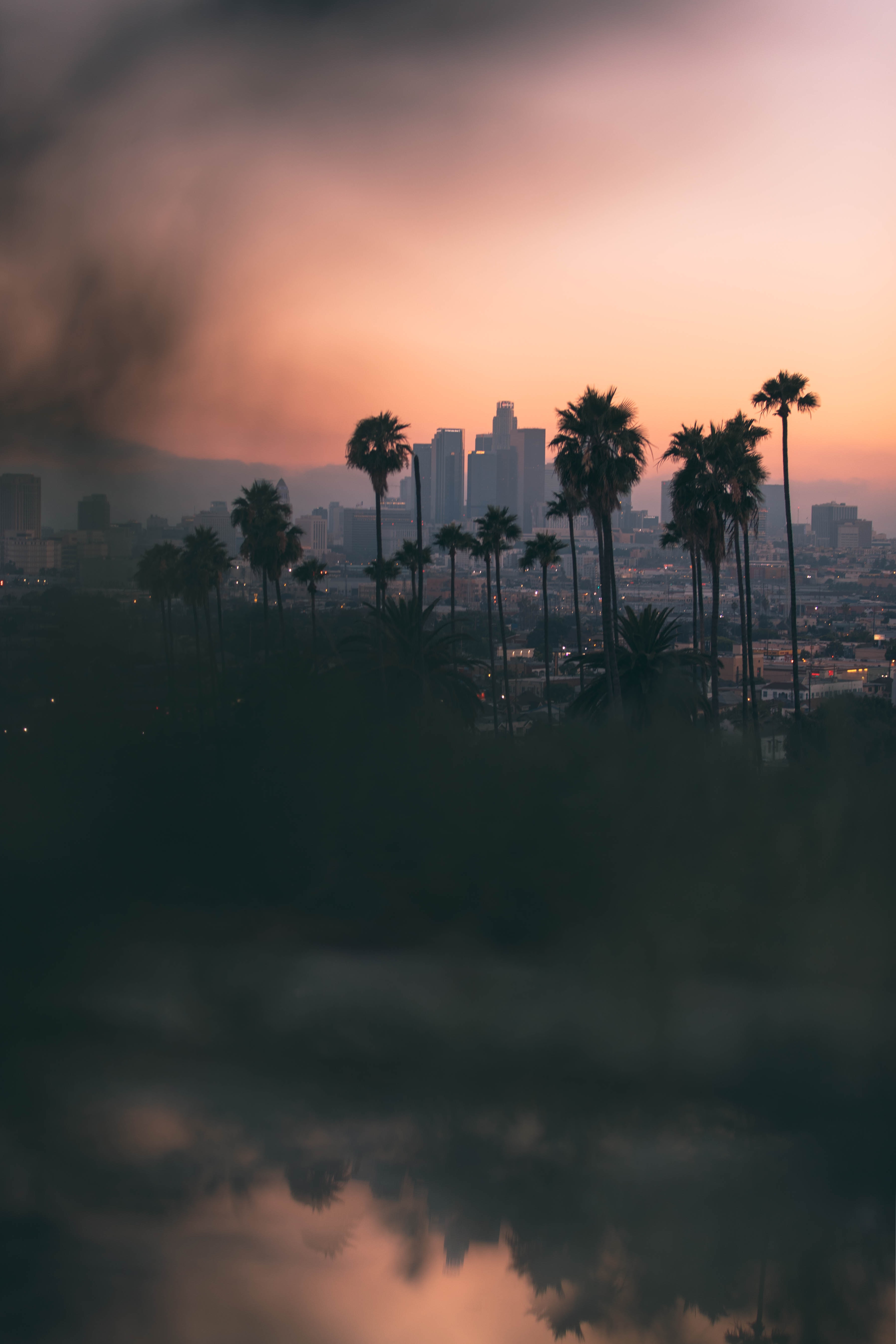 Download mobile wallpaper Review, Overview, Dusk, City, View, Cities, Twilight, Palms, Dark for free.