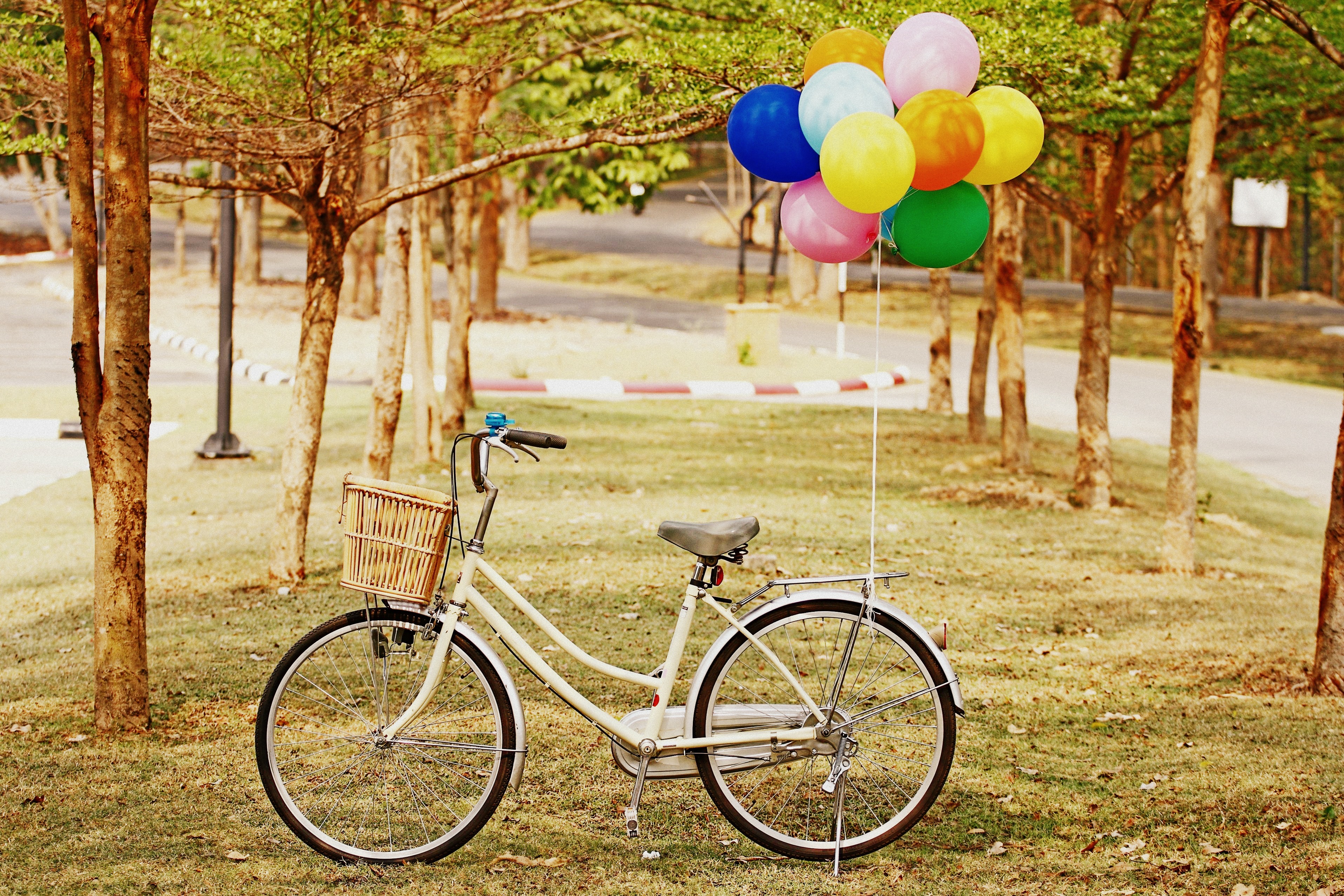 111587 скачать картинку трава, разное, парк, велосипед, воздушные шарики - обои и заставки бесплатно
