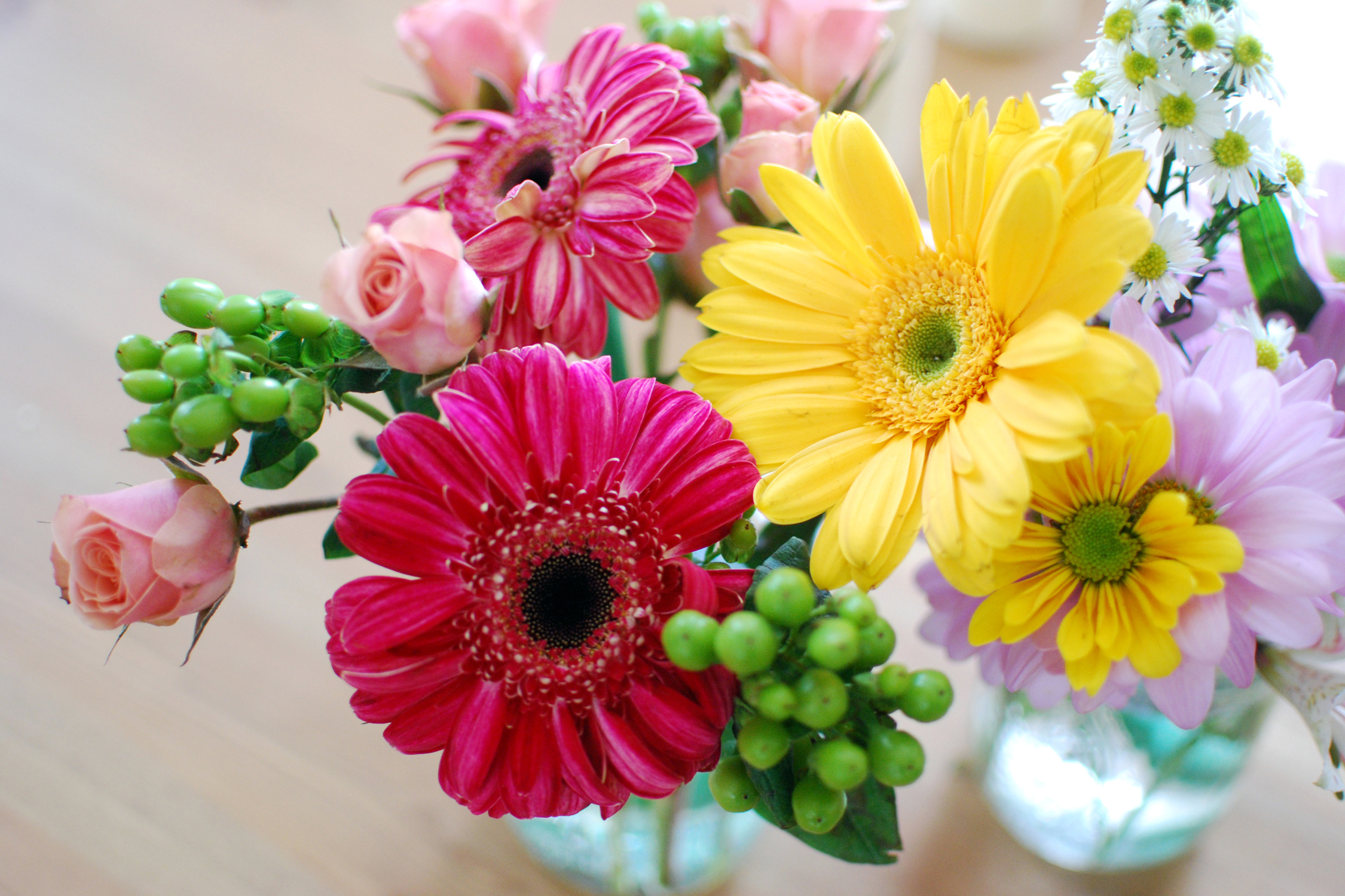 Download mobile wallpaper Flowers, Flower, Rose, Earth, Vase, Gerbera, Yellow Flower, White Flower, Purple Flower for free.