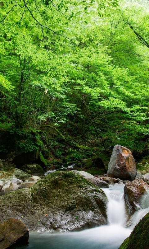 Descarga gratuita de fondo de pantalla para móvil de Rio, Tierra/naturaleza.