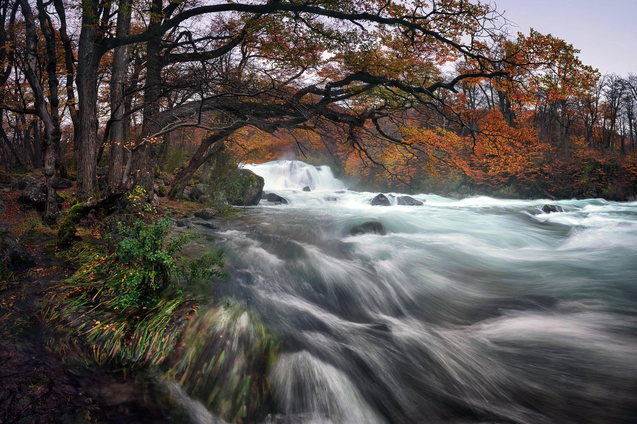 Laden Sie das Herbst, Fluss, Erde/natur-Bild kostenlos auf Ihren PC-Desktop herunter