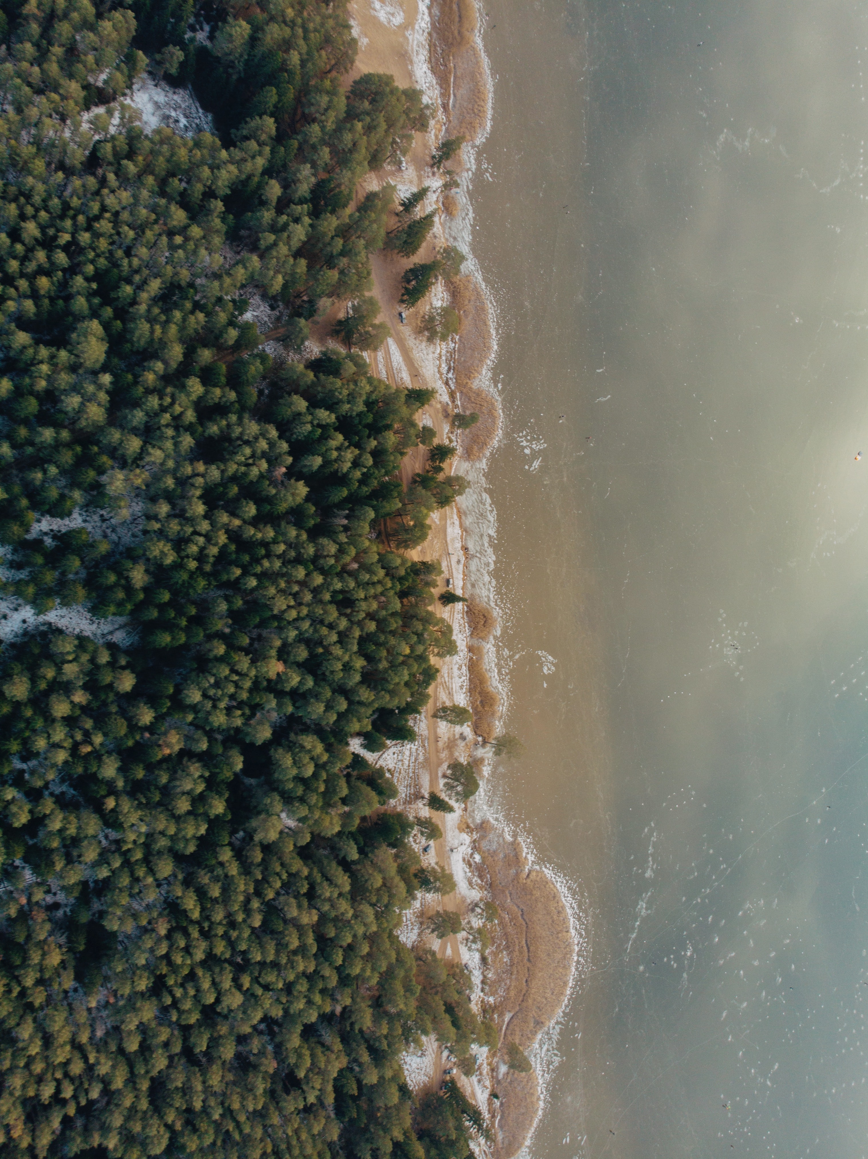 Download mobile wallpaper Shore, Bank, View From Above, Forest, Nature, Sand, Water, Beach for free.