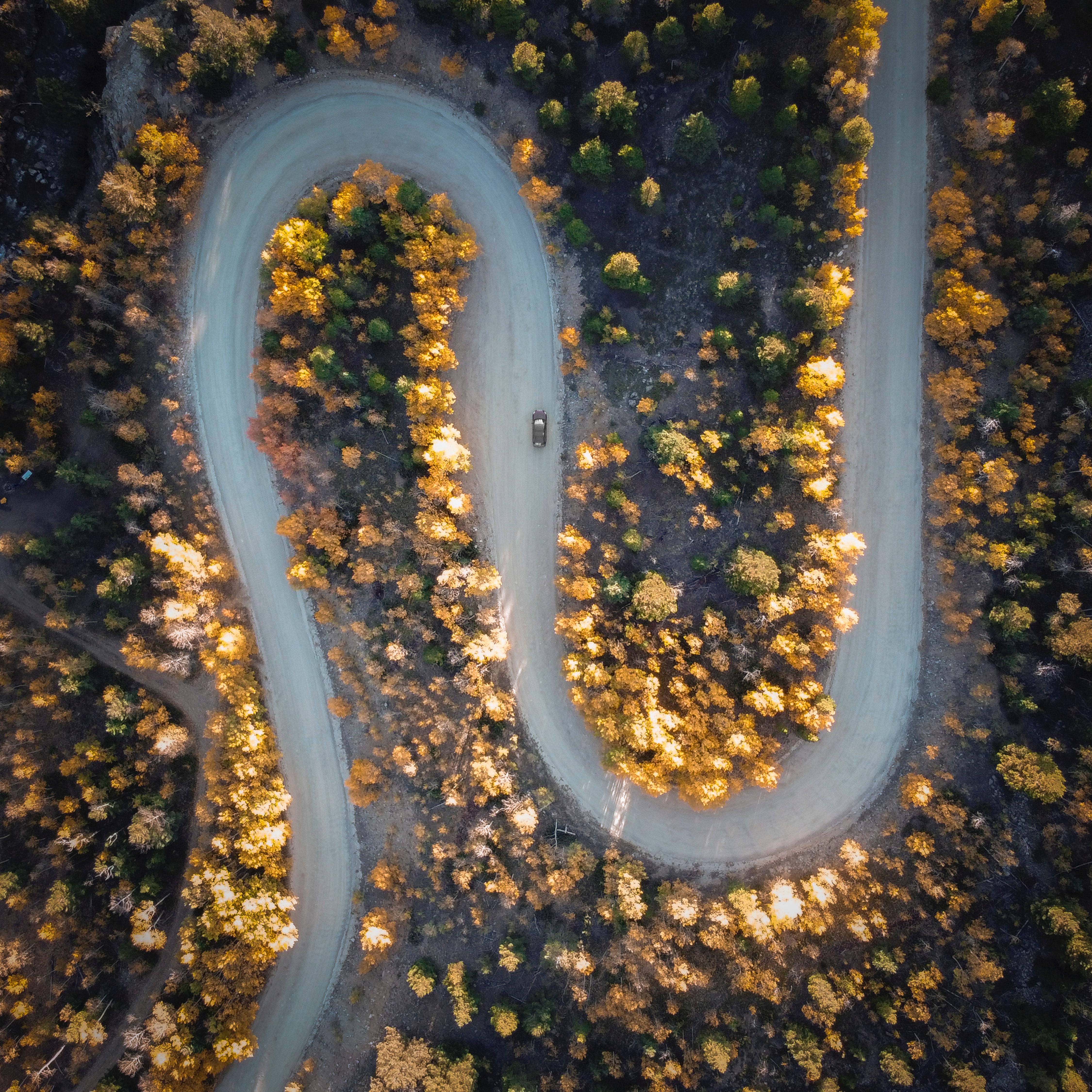 Download mobile wallpaper View From Above, Turn, Car, Nature, Trees, Road for free.