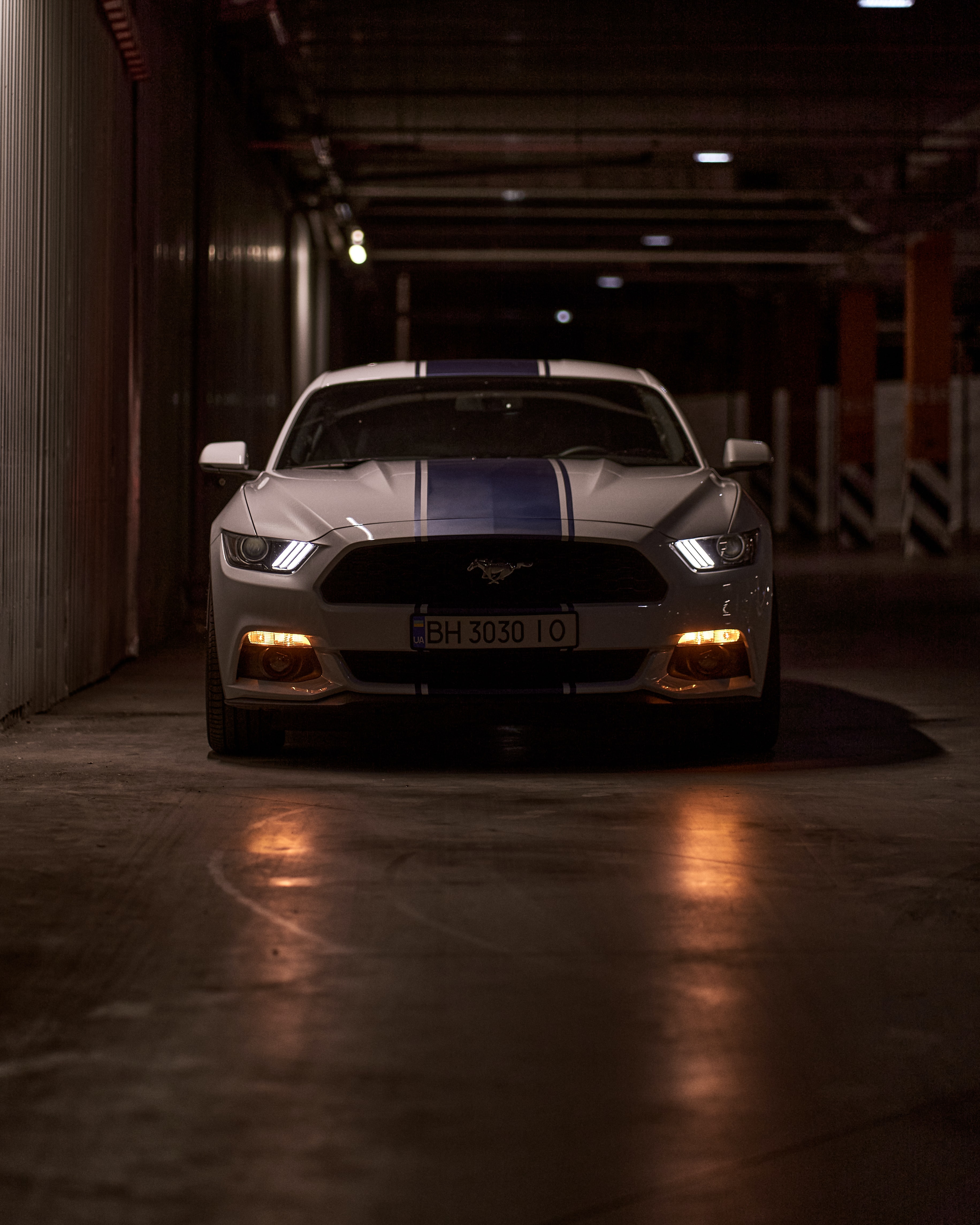 mustang, car, cars, sports car, front view, mustang gt, lights, headlights, sports