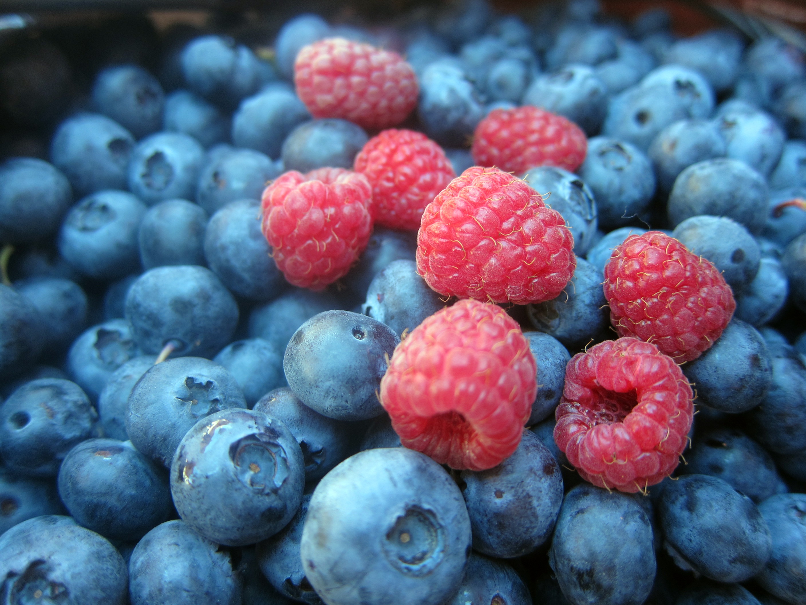 Download mobile wallpaper Food, Blueberry, Raspberry, Berry, Fruit for free.