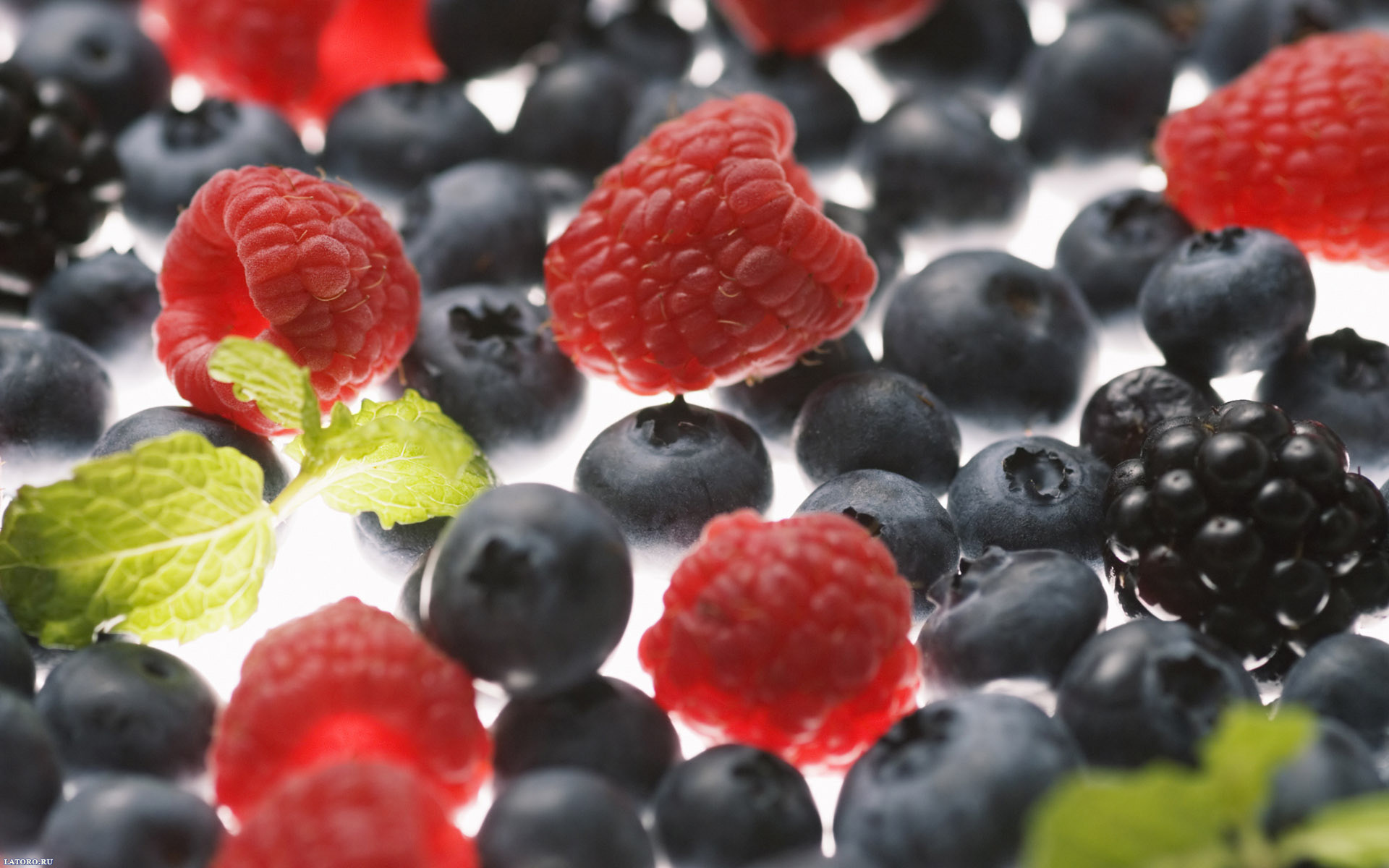 Laden Sie das Obst, Lebensmittel, Himbeere, Blaubeeren, Berries, Hintergrund-Bild kostenlos auf Ihren PC-Desktop herunter