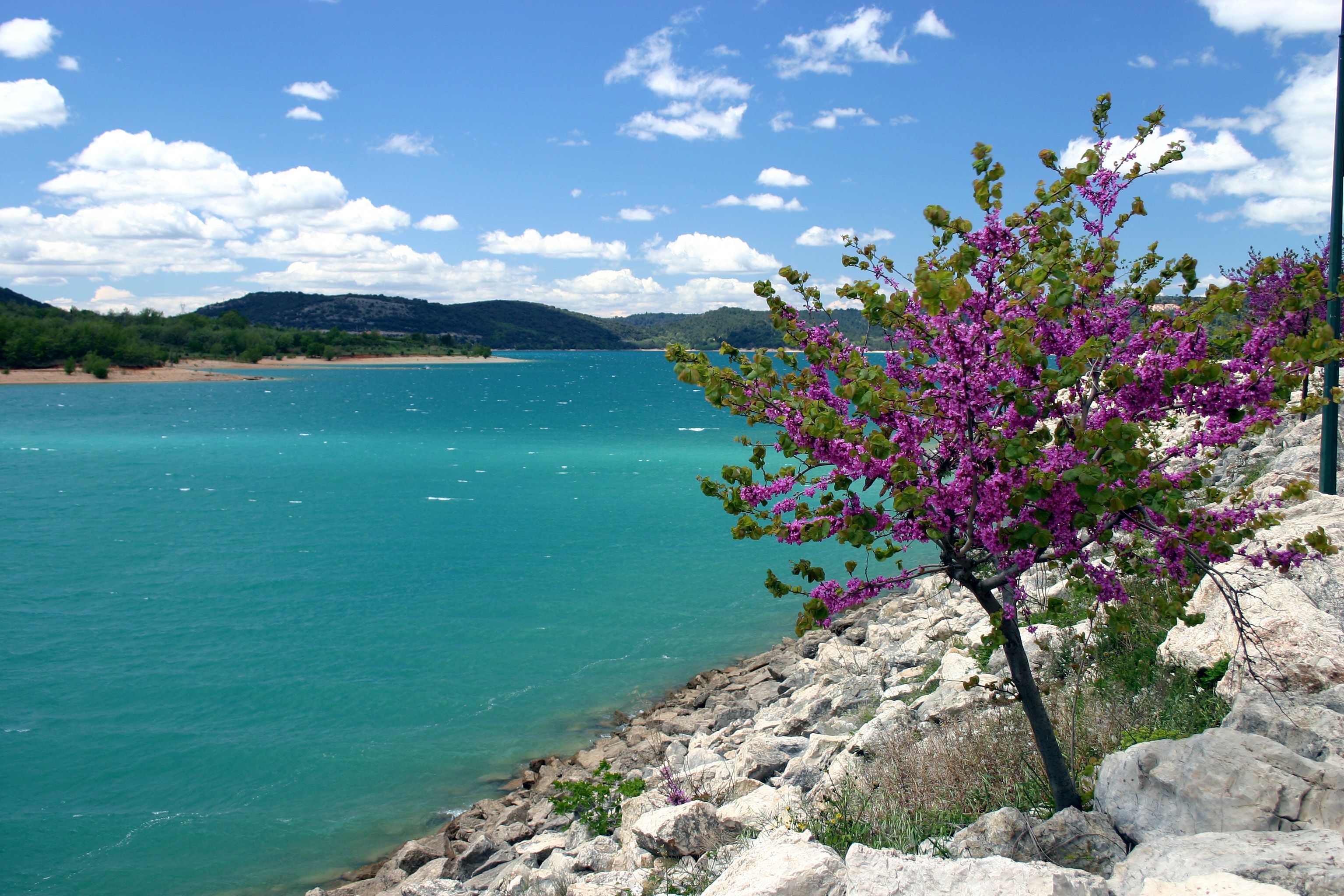 Téléchargez gratuitement l'image Terre/nature, Rivière sur le bureau de votre PC