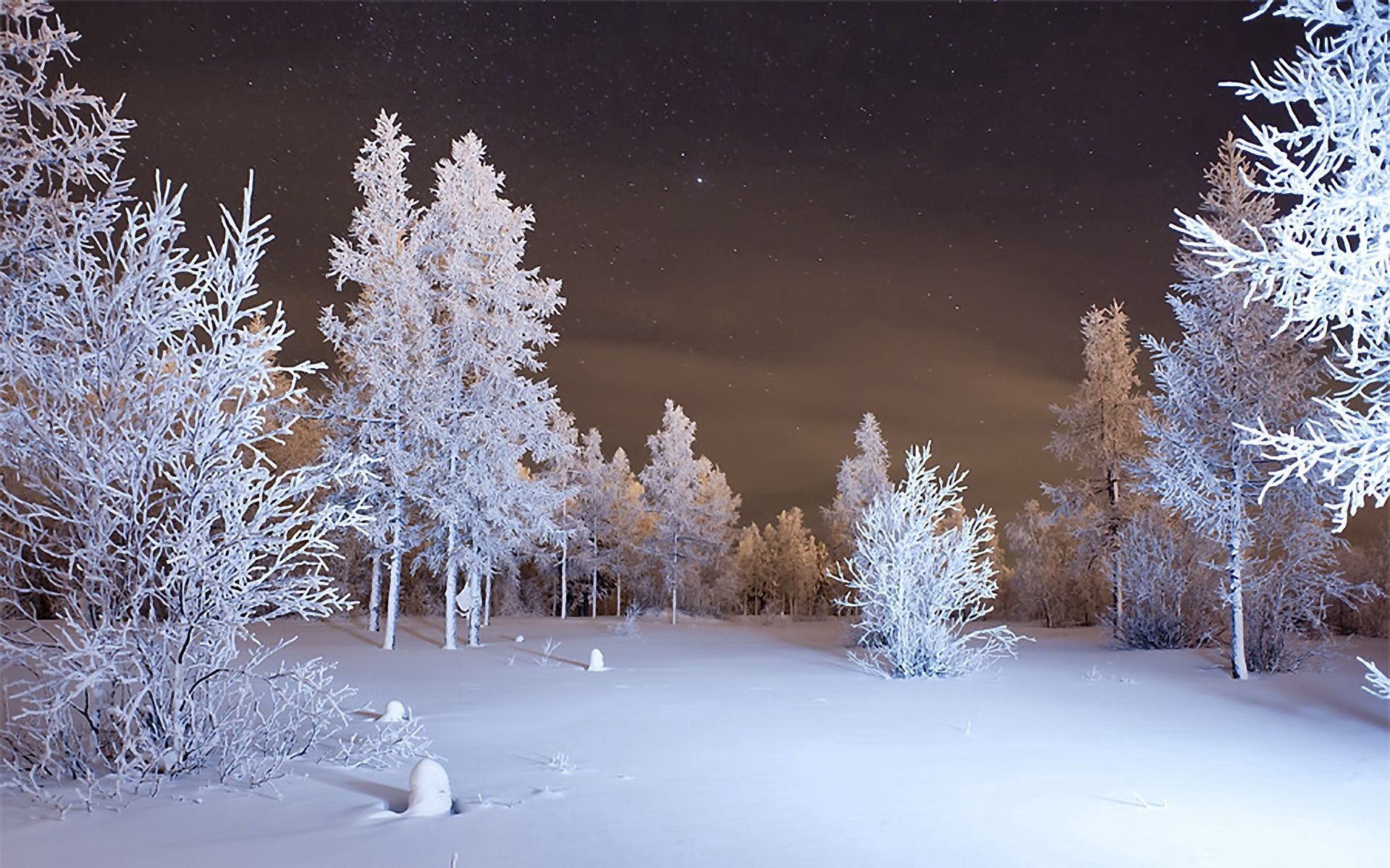 Скачать обои бесплатно Снег, Зима, Лес, Природа картинка на рабочий стол ПК