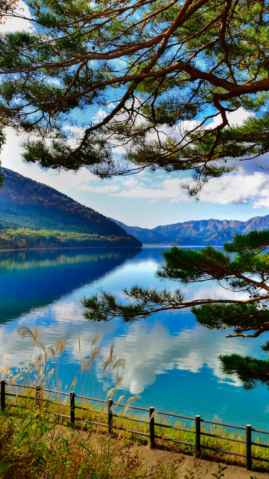 Descarga gratuita de fondo de pantalla para móvil de Lagos, Lago, Árbol, Rama, Tierra/naturaleza.