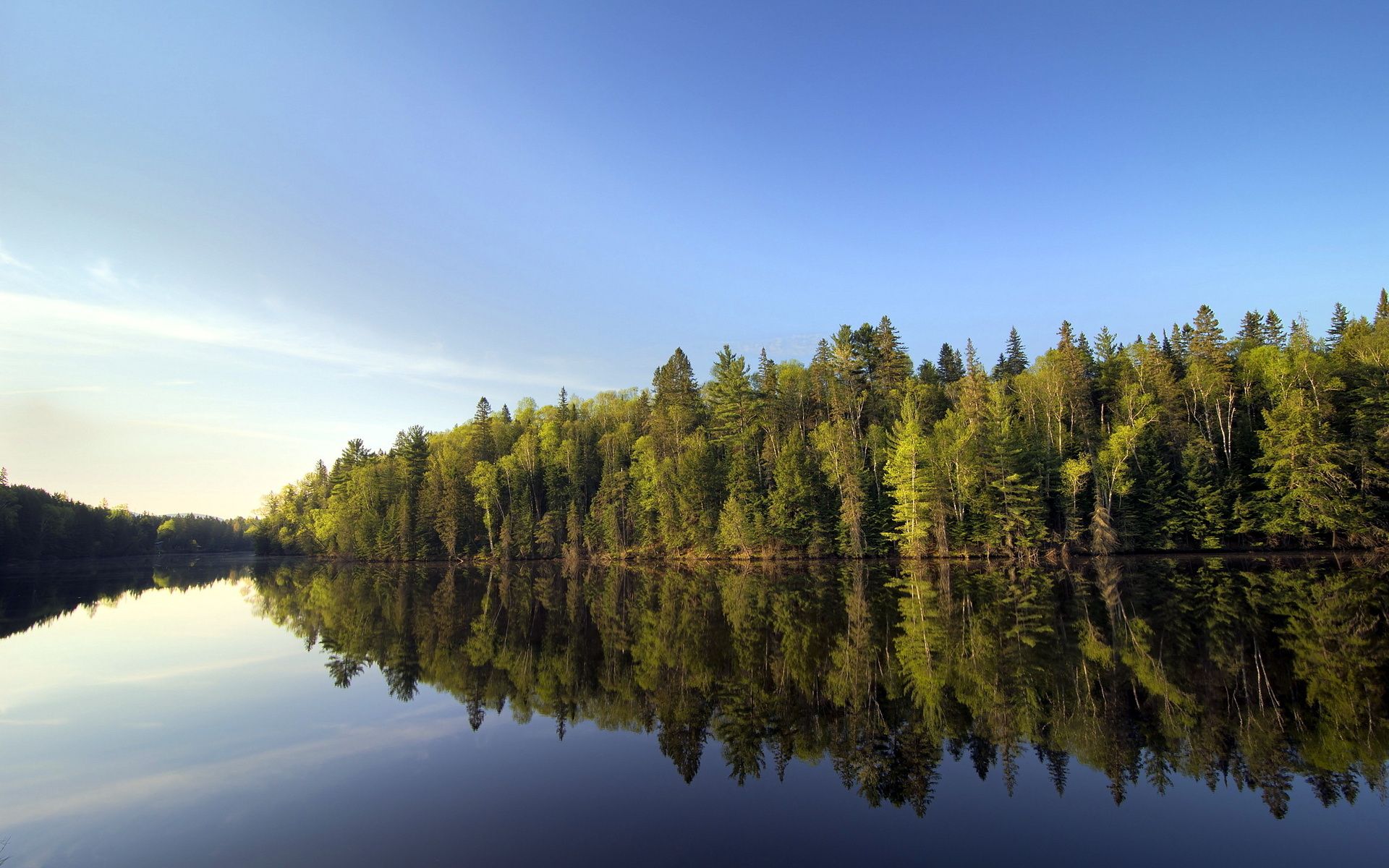 無料モバイル壁紙湖, 森, 木, 地球, 反射, 空をダウンロードします。