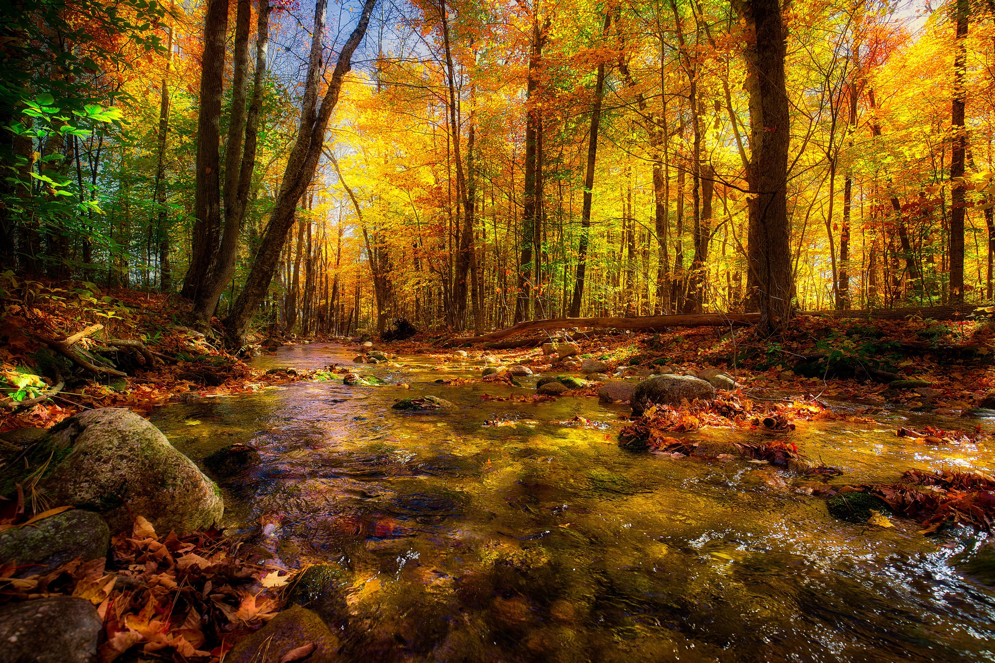 Téléchargez gratuitement l'image Automne, Forêt, Arbre, La Nature, Terre/nature, Rivière sur le bureau de votre PC