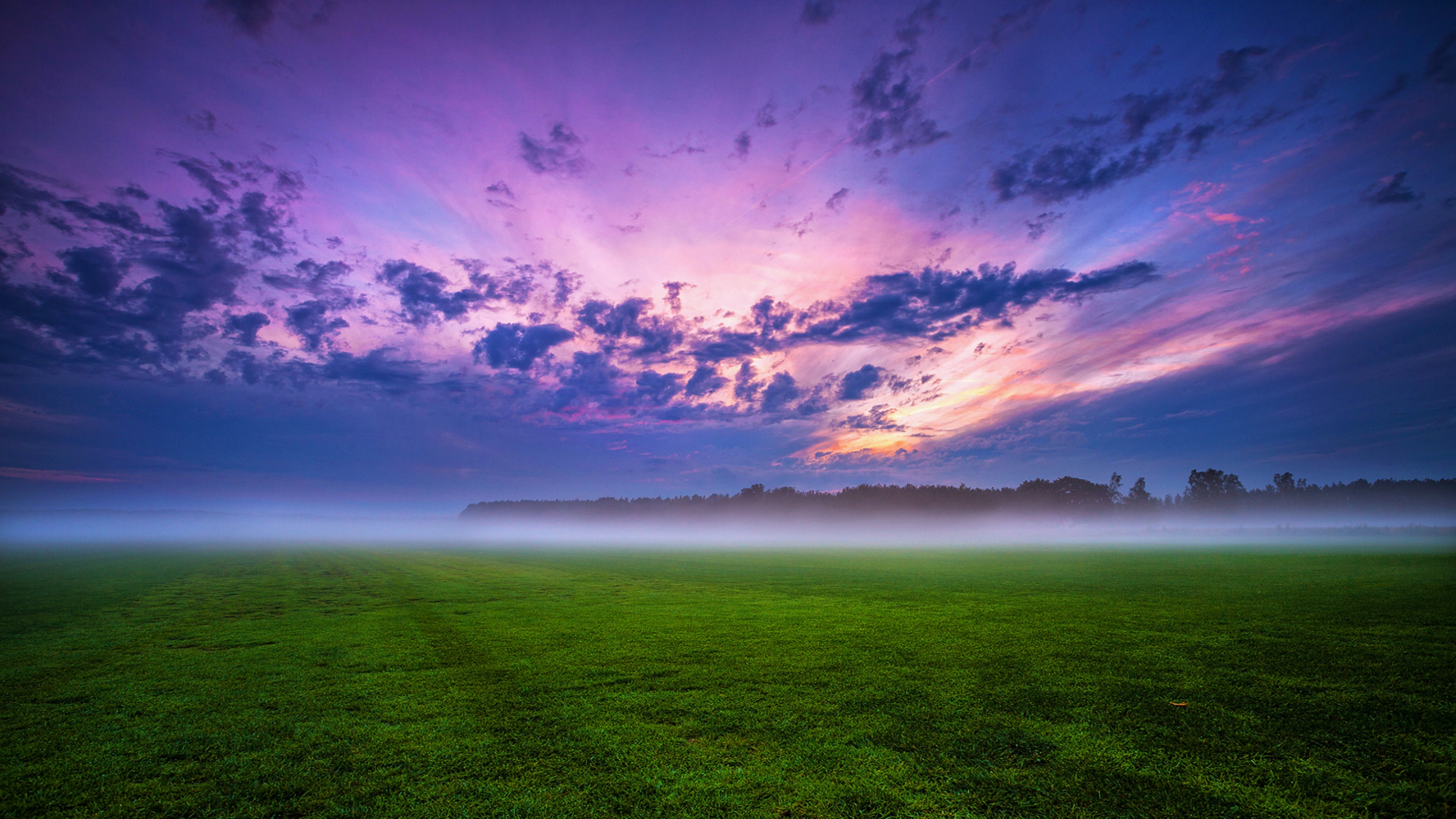 landscape, fog, grass, sunrise, field, nature, cloud, earth