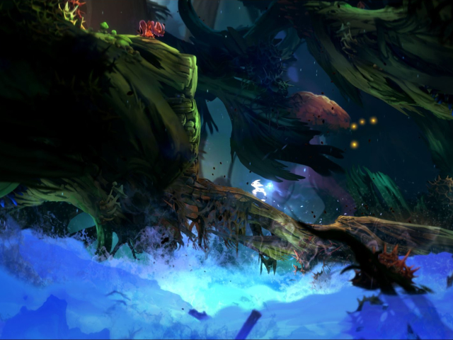 Laden Sie das Computerspiele, Ori And The Blind Forest-Bild kostenlos auf Ihren PC-Desktop herunter