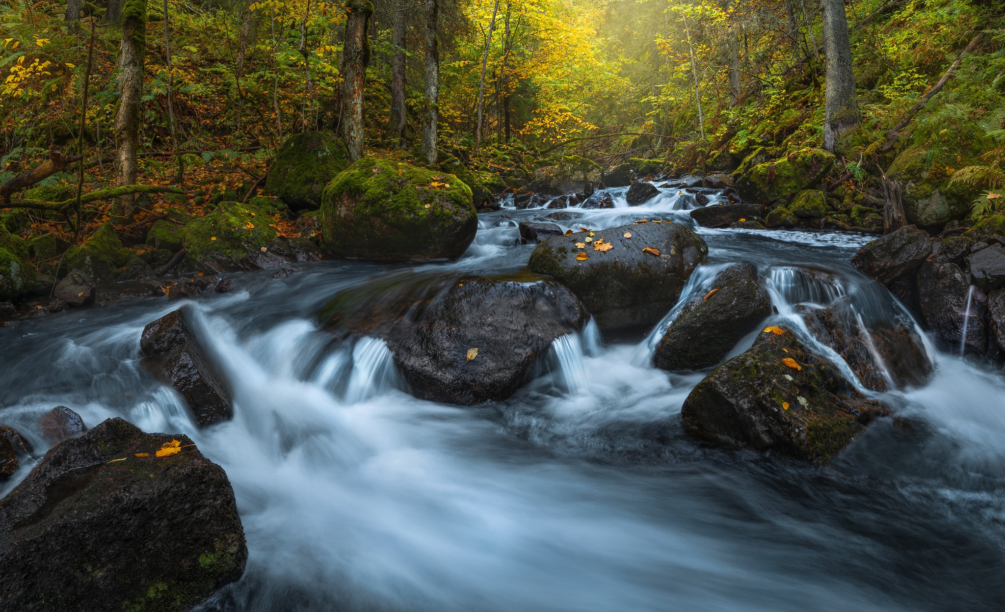 Скачать картинку Река, Осень, Водопады, Водопад, Лес, Камень, Норвегия, Земля/природа в телефон бесплатно.