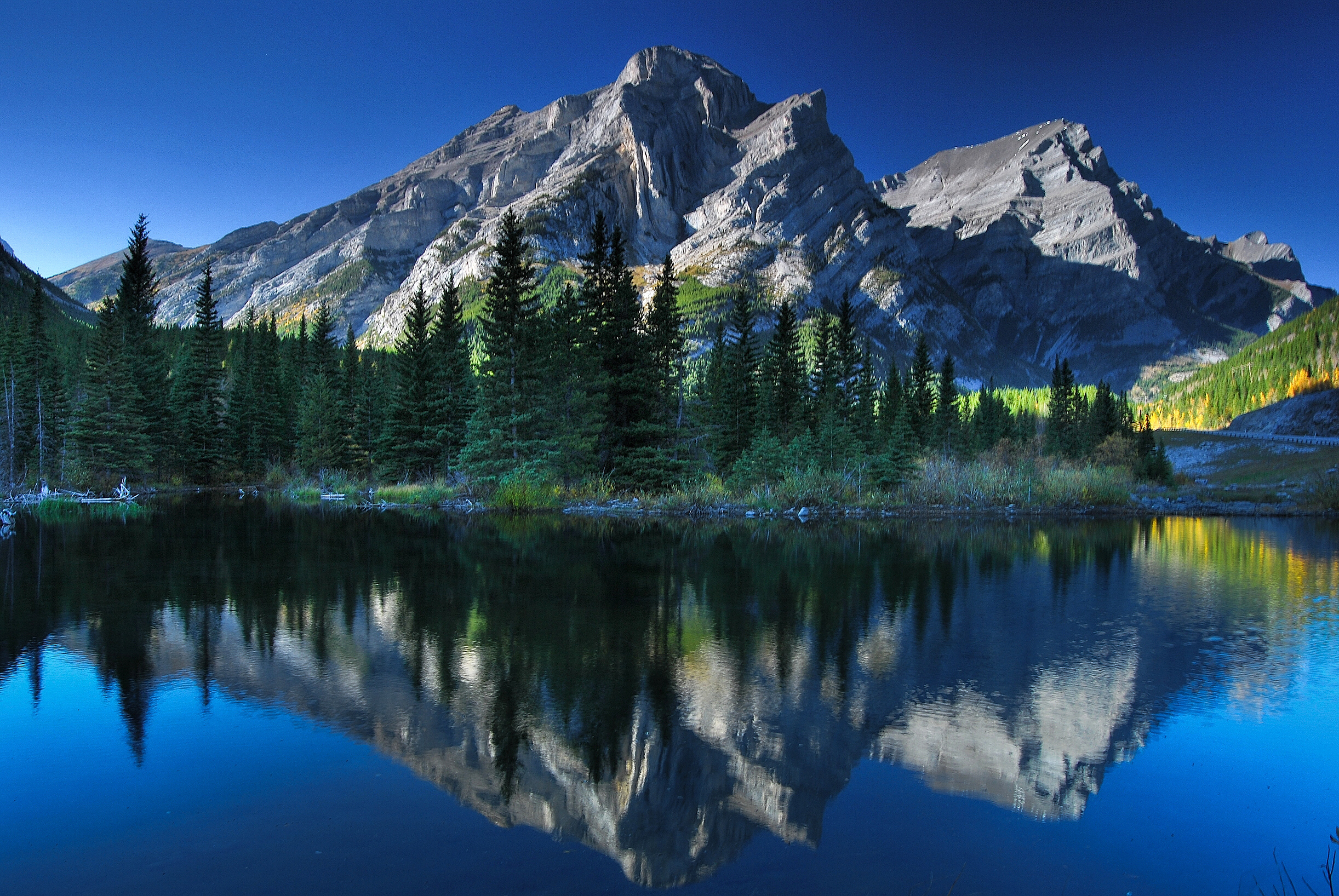 389897 завантажити шпалери земля, гора, альберта, канада, озеро, природа, рефлексія, дерево, гори - заставки і картинки безкоштовно