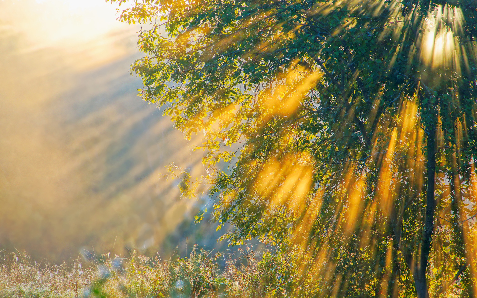 Descarga gratis la imagen Rayo De Sol, Tierra/naturaleza en el escritorio de tu PC