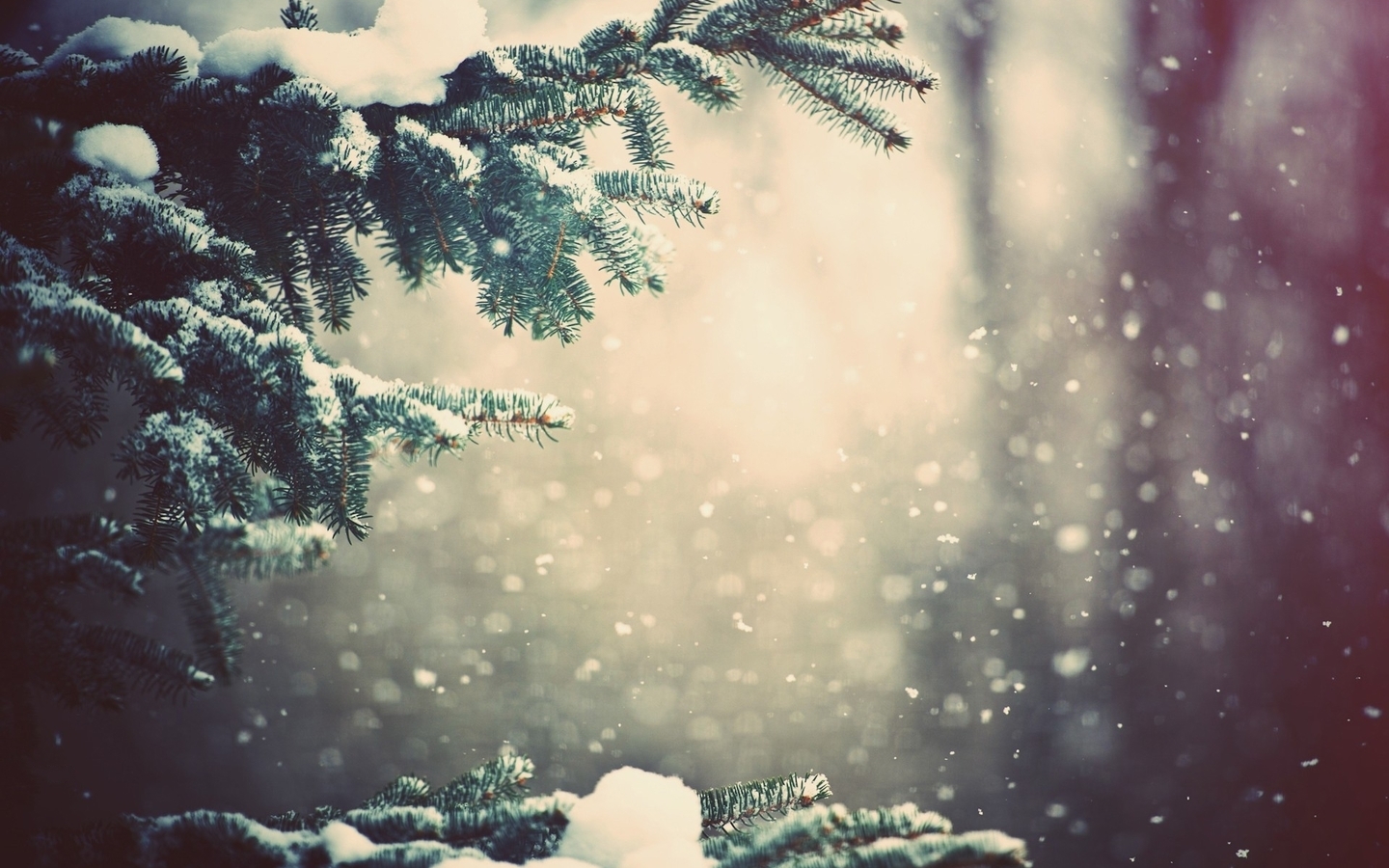 winter, fir trees, landscape, plants, snow, yellow