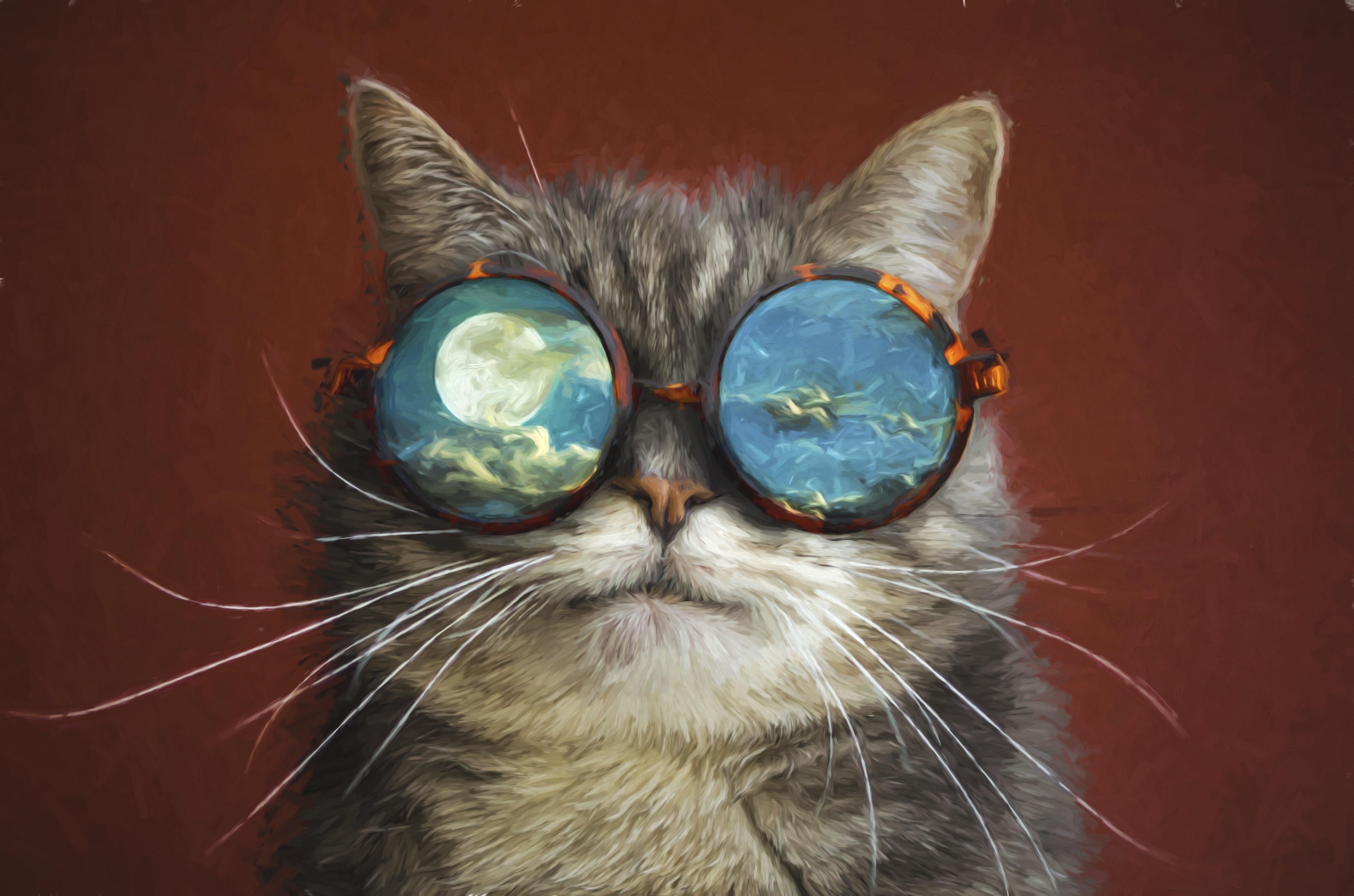 Handy-Wallpaper Tiere, Katzen, Katze, Sonnenbrille kostenlos herunterladen.