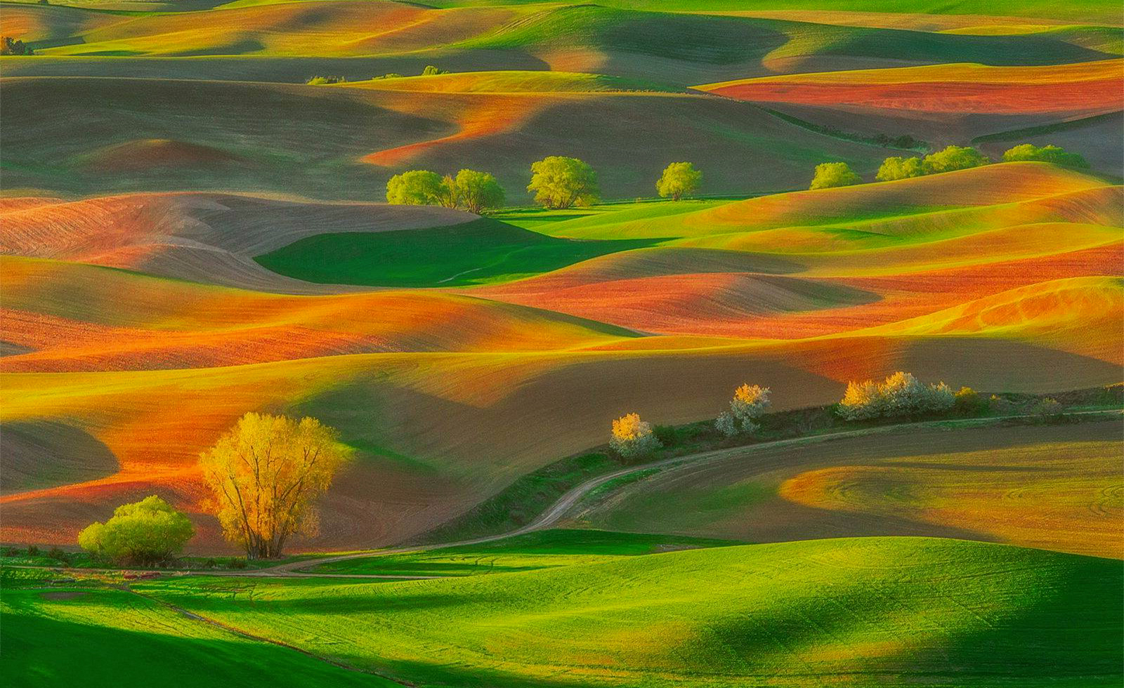 Download mobile wallpaper Earth, Field, Colorful, Hill, Orange (Color) for free.