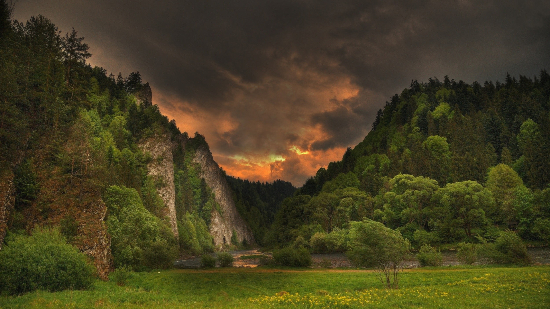Laden Sie das Landschaft, Natur, Baum, Gebirge, Erde/natur-Bild kostenlos auf Ihren PC-Desktop herunter