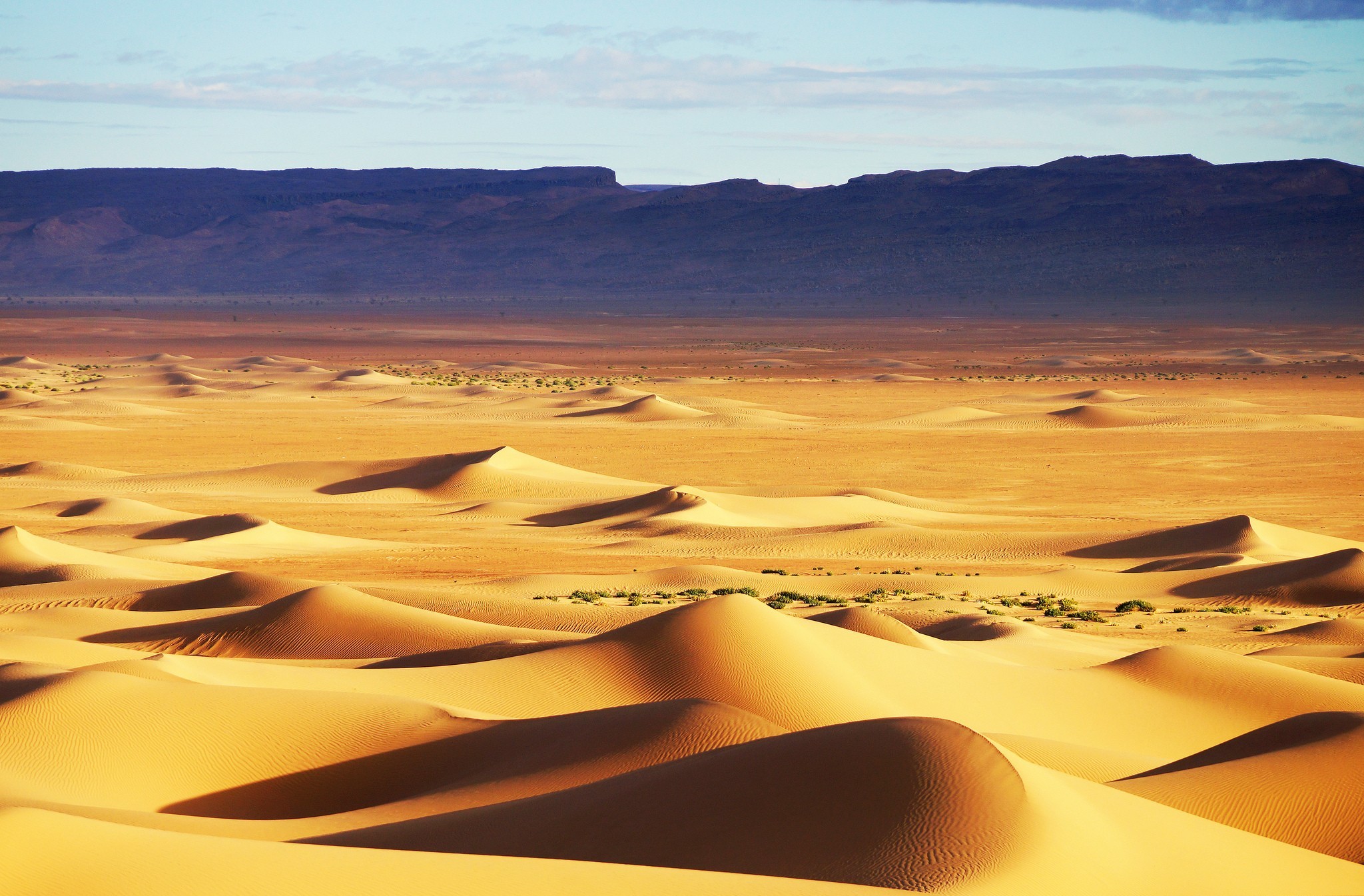 Скачать картинку Пустыня, Дюна, Земля/природа в телефон бесплатно.