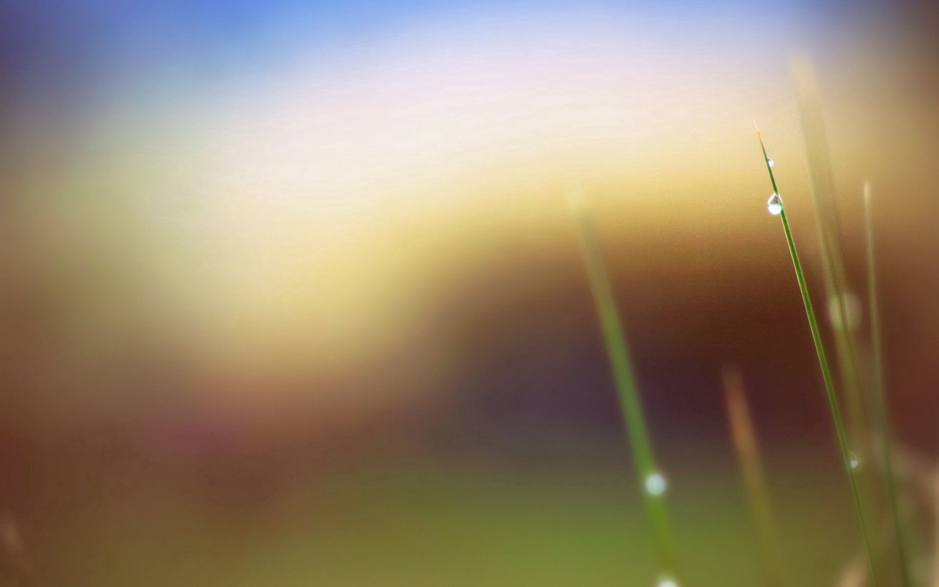 Download mobile wallpaper Grass, Macro, Smooth, Spots, Leaves, Stains, Drops, Background, Blur for free.