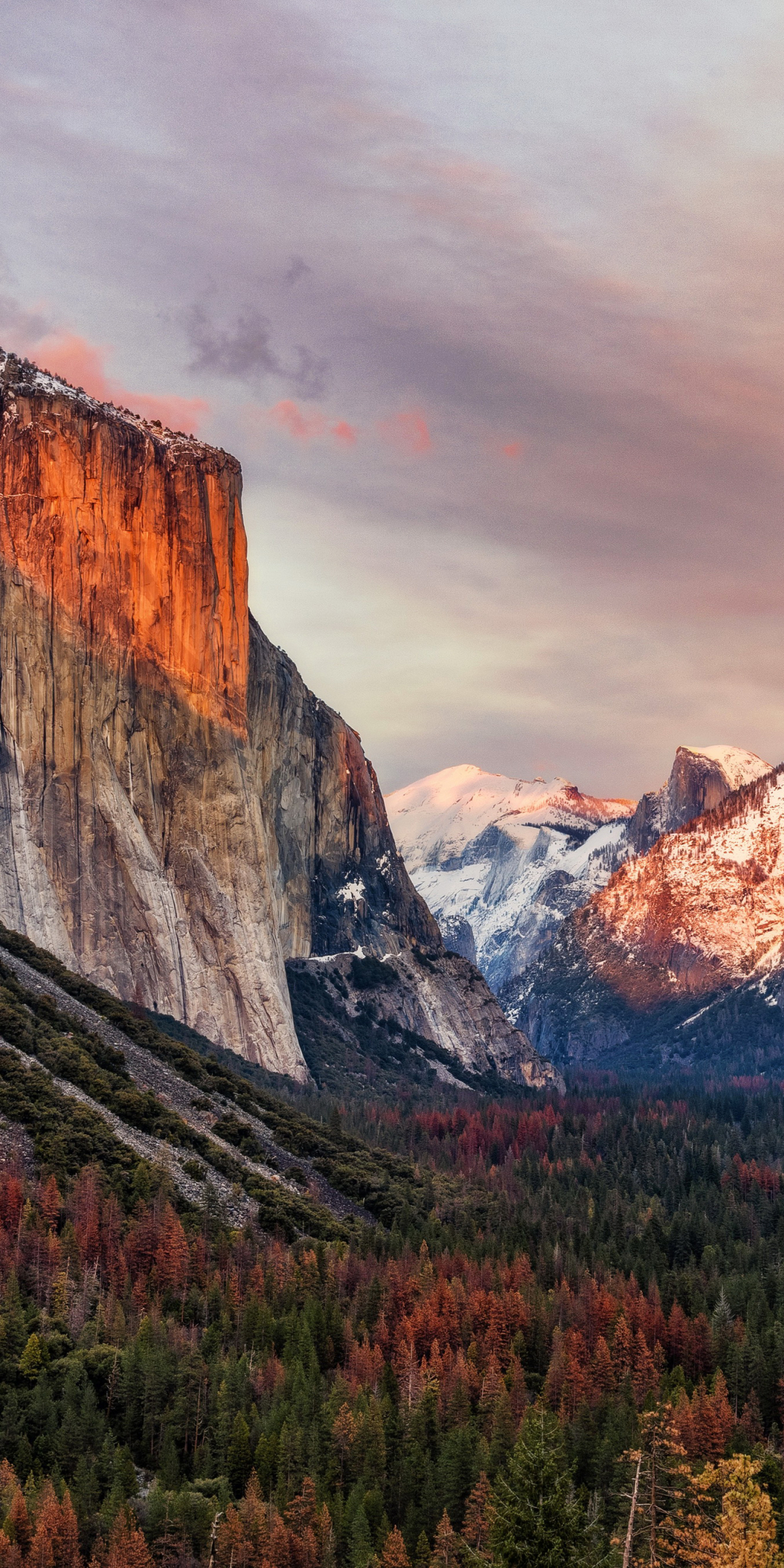 Baixar papel de parede para celular de Natureza, Montanha, Floresta, Penhasco, Parque Nacional, Parque Nacional De Yosemite, Terra/natureza gratuito.