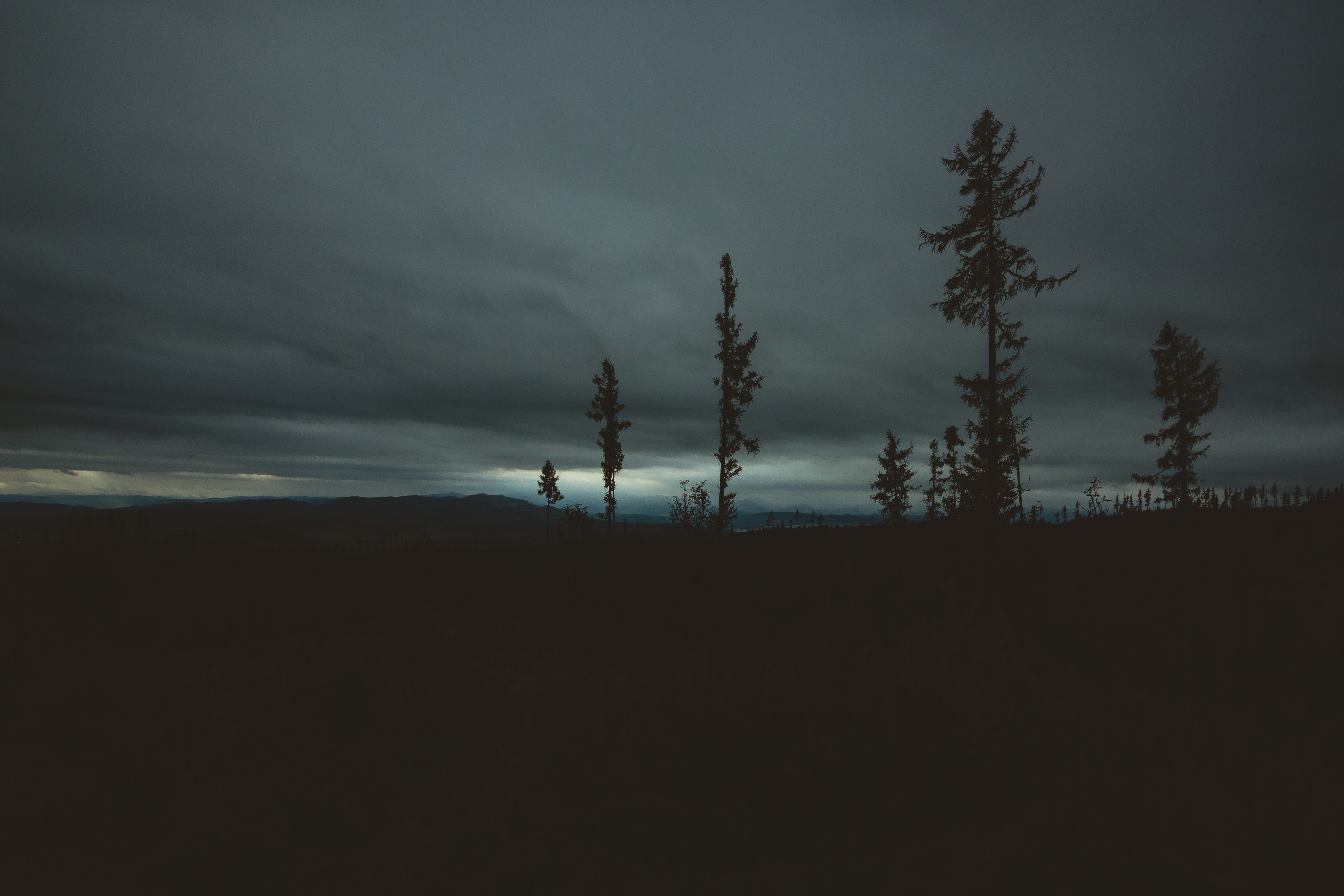 Free download wallpaper Trees, Sky, Horizon, Evening, Dark on your PC desktop