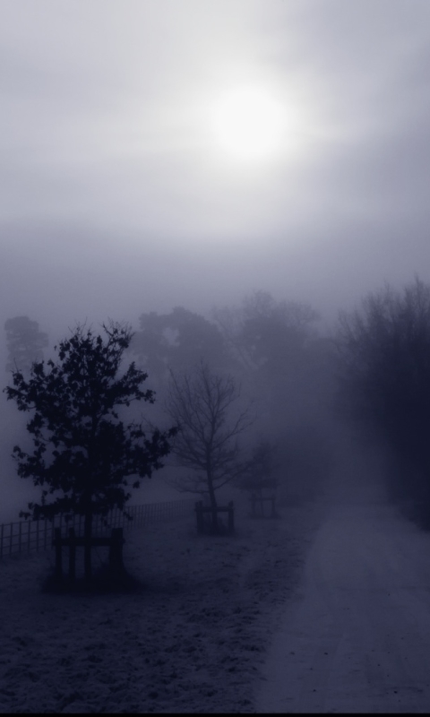 Descarga gratuita de fondo de pantalla para móvil de Niebla, Tierra/naturaleza.