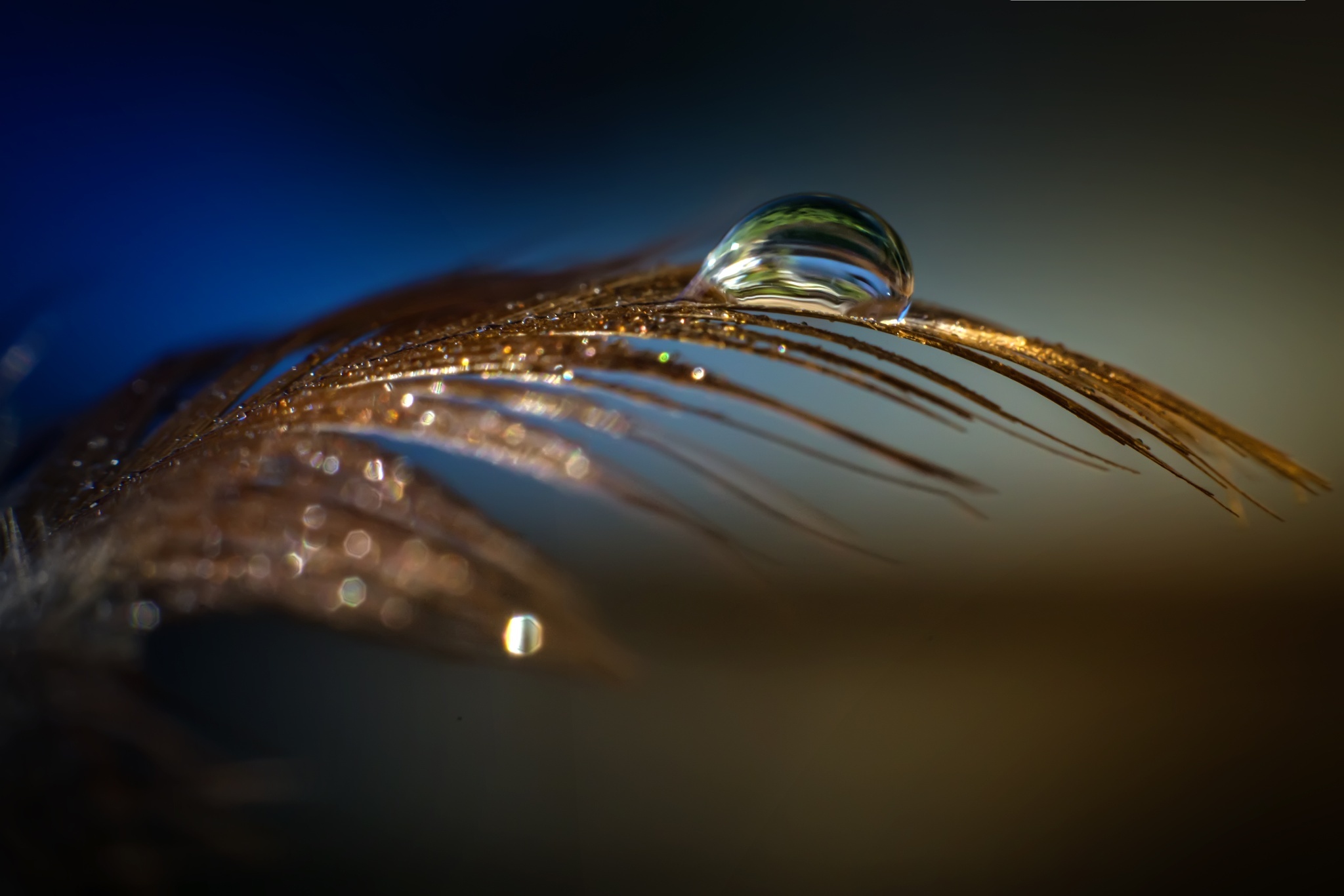 Download mobile wallpaper Nature, Macro, Earth, Water Drop for free.