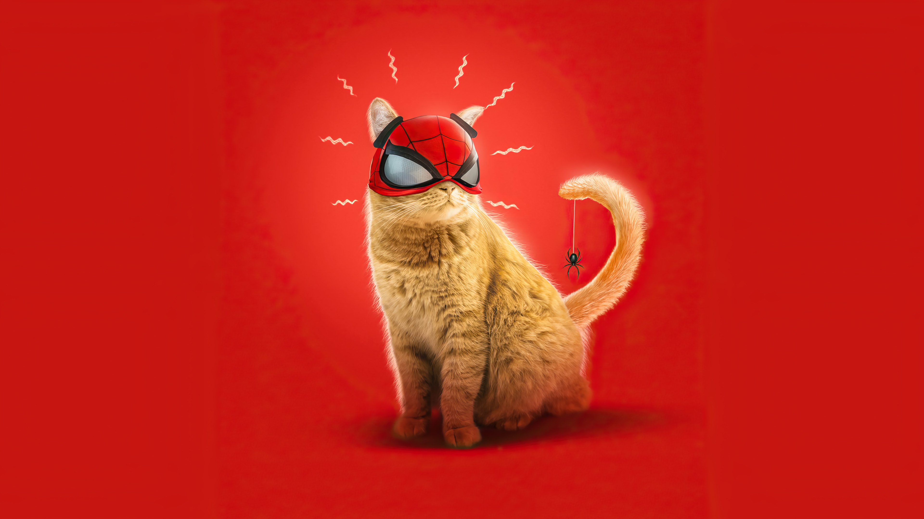 spider cat, marvel's spider man: miles morales, spider man: miles morales, video game, cat, mask, red, spider