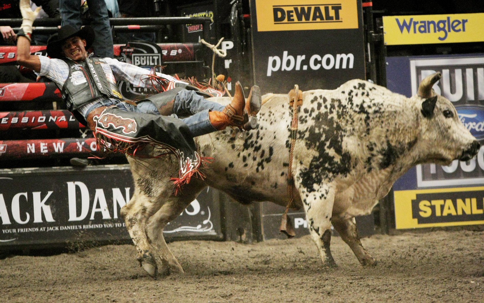 sports, bullriding