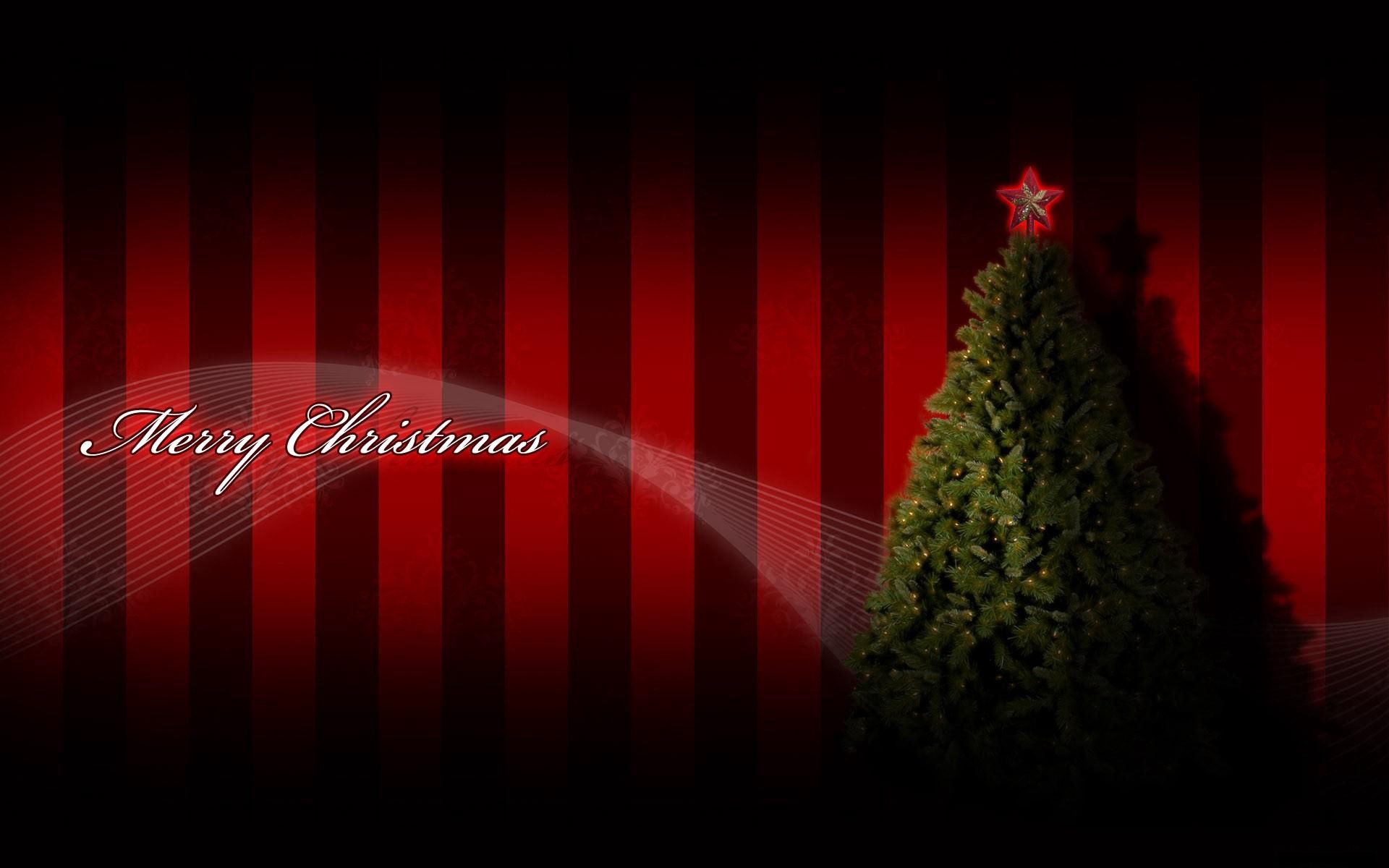 128262 Hintergrundbild herunterladen feiertage, sterne, weihnachten, urlaub, inschrift, weihnachtsbaum, girlande, garland, star, herzlichen glückwunsch, glückwunsch - Bildschirmschoner und Bilder kostenlos