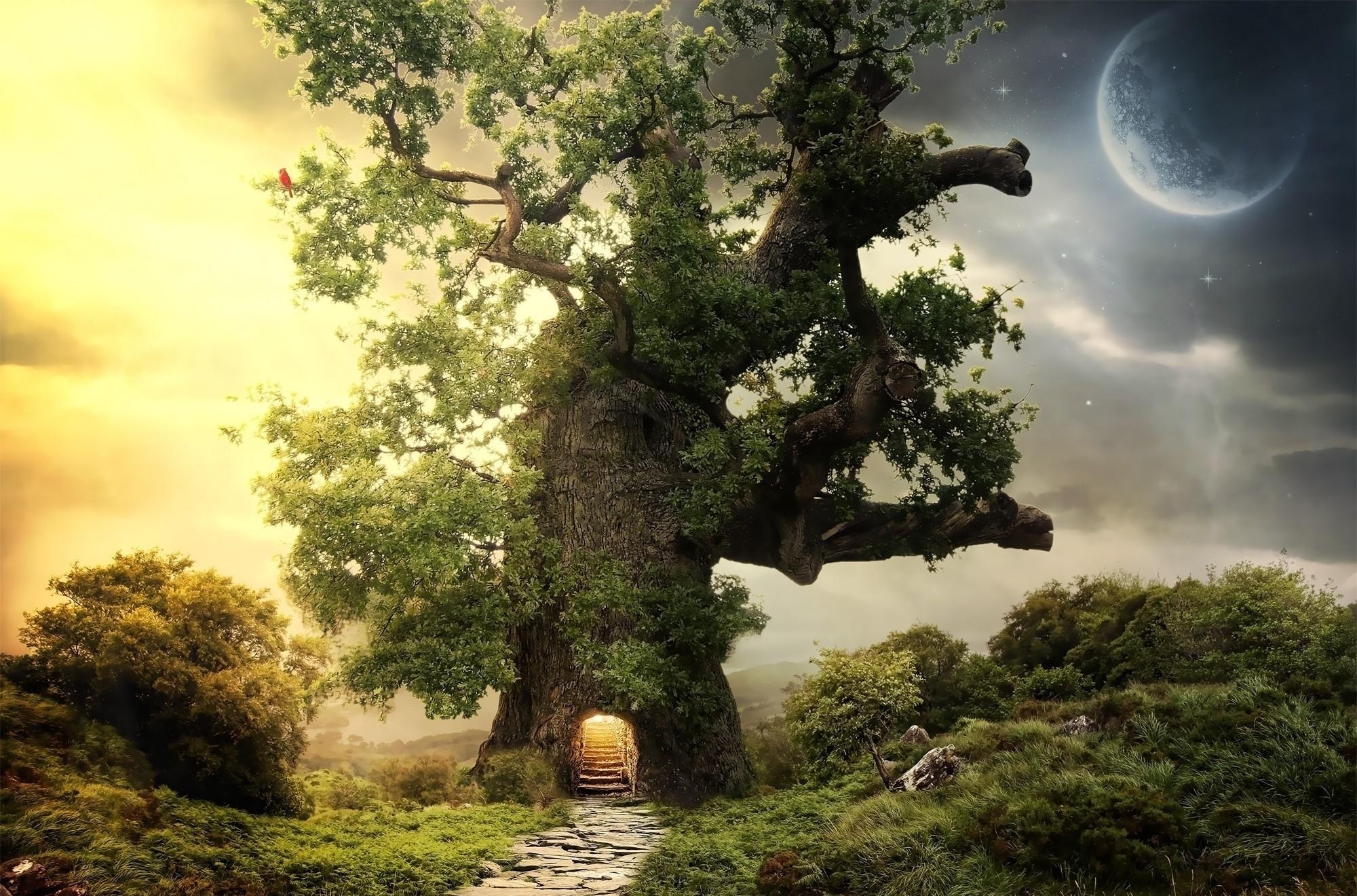fantasy, greens, wood, tree, planet, steps, entrance