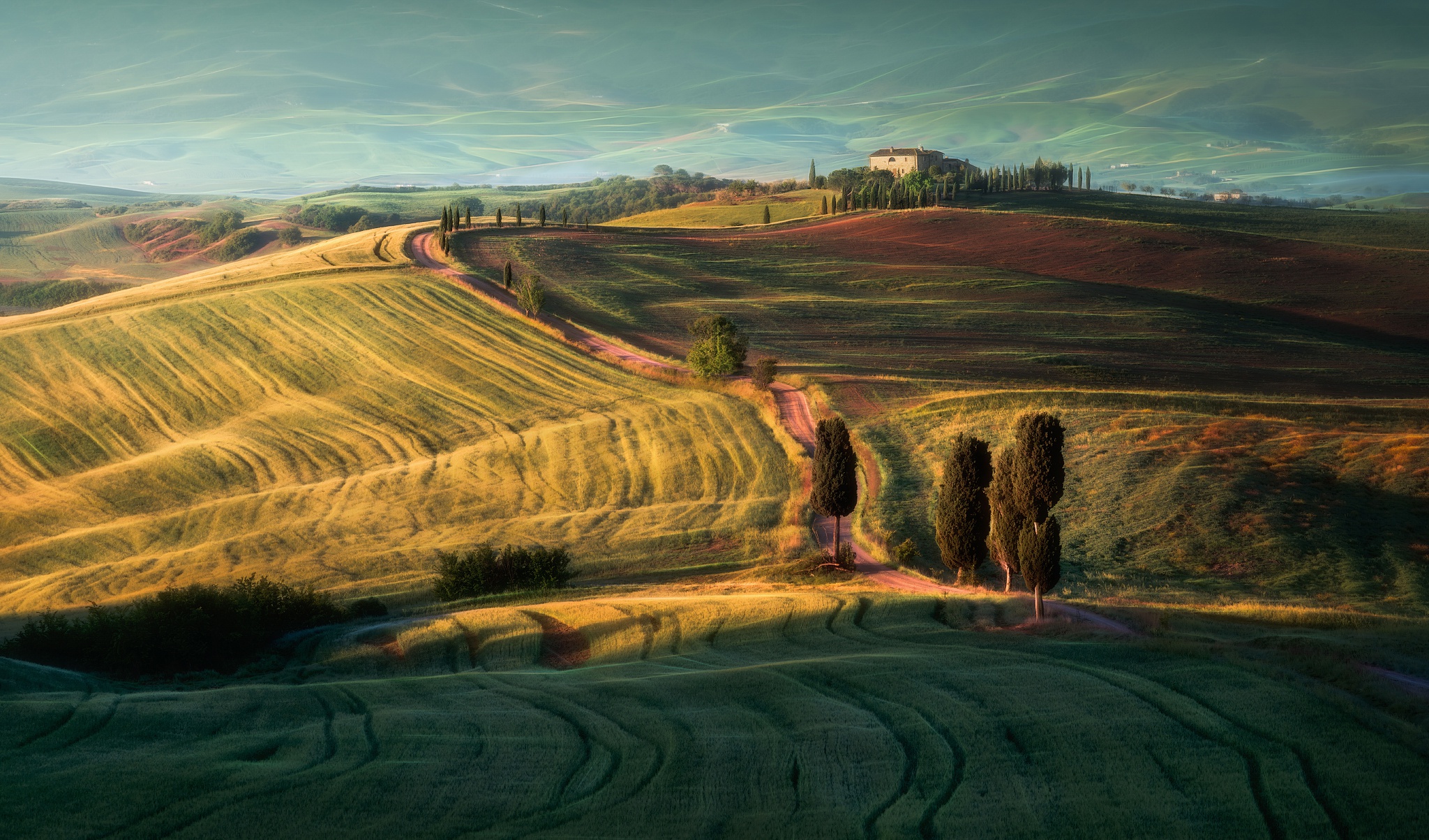 無料モバイル壁紙風景, イタリア, 丘, 写真撮影, トスカーナ, 分野をダウンロードします。